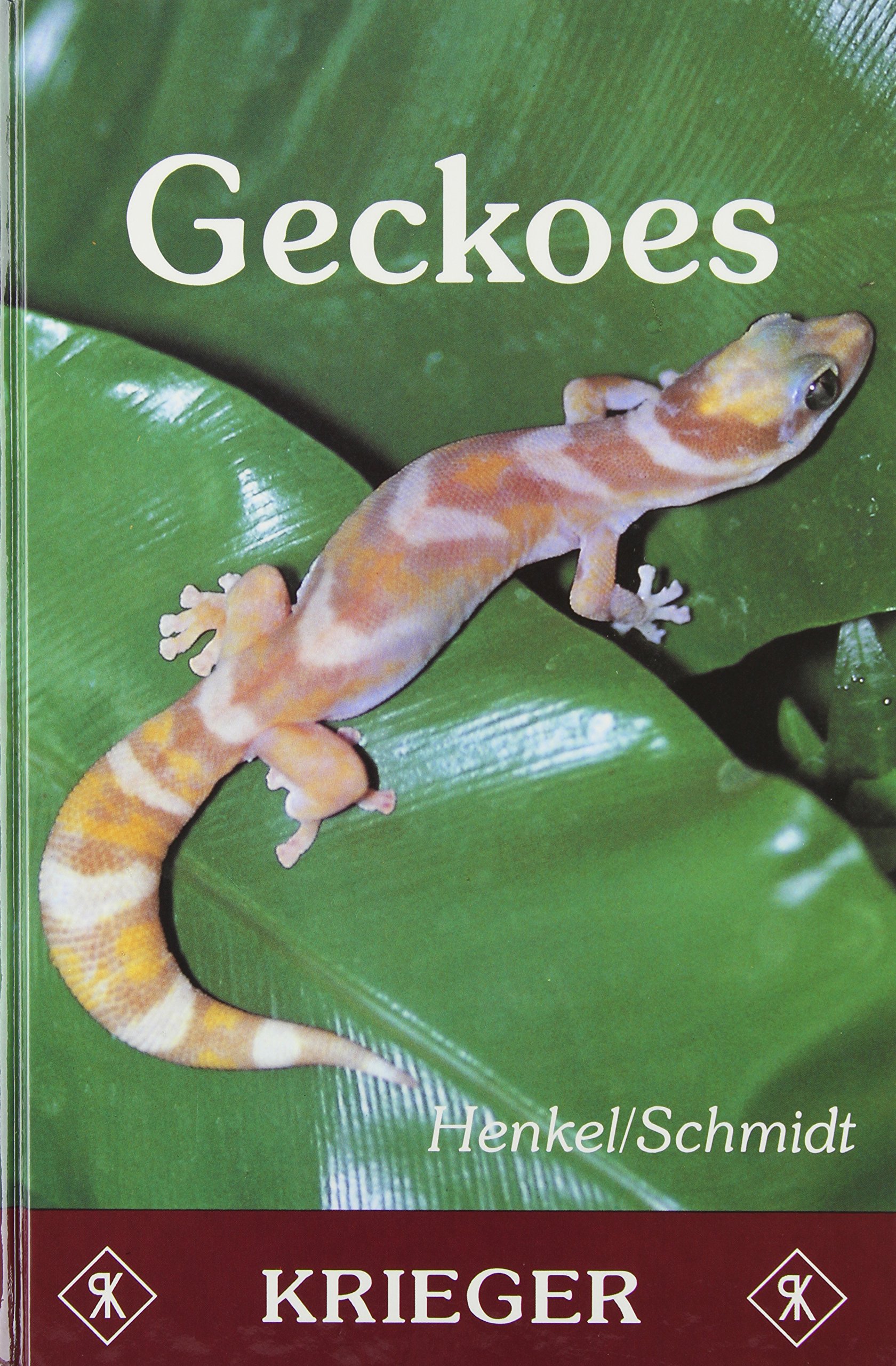 Geckoes: Biology, Husbandry and Reproduction