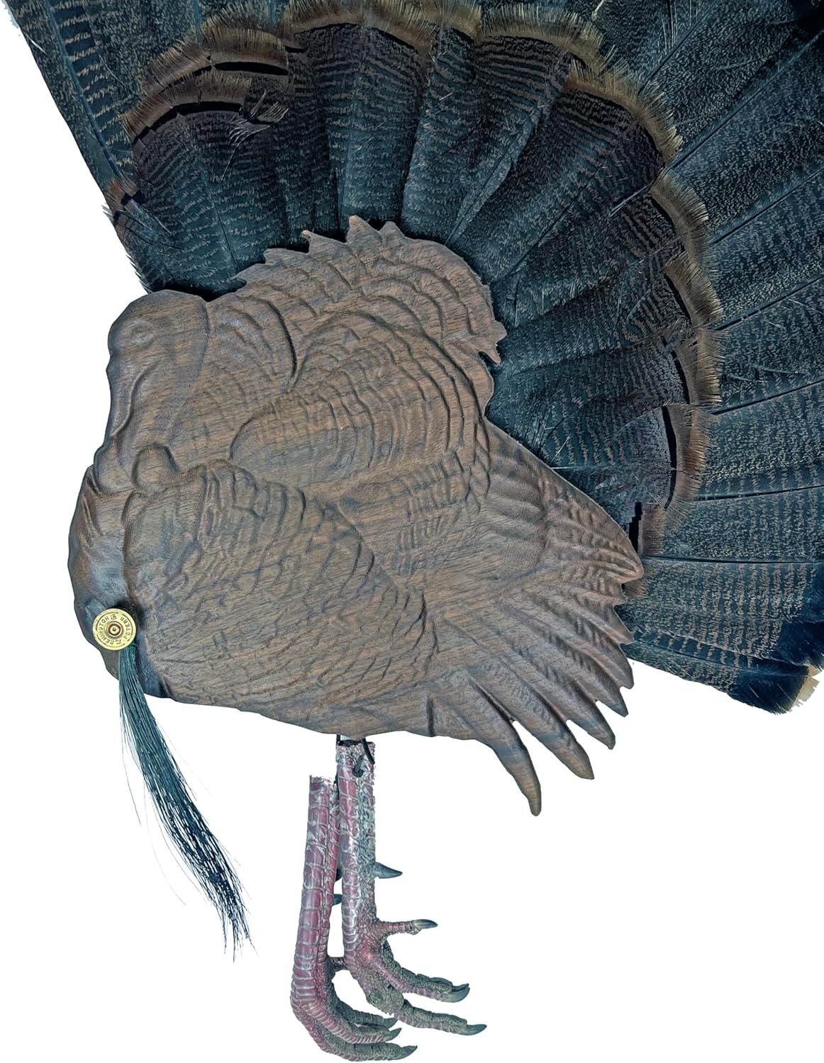 Walnut Turkey Bust Display for Tail, Beard, Spurs, Shotgun Shell, & Fan - Unique Plaque (Spurs Only)