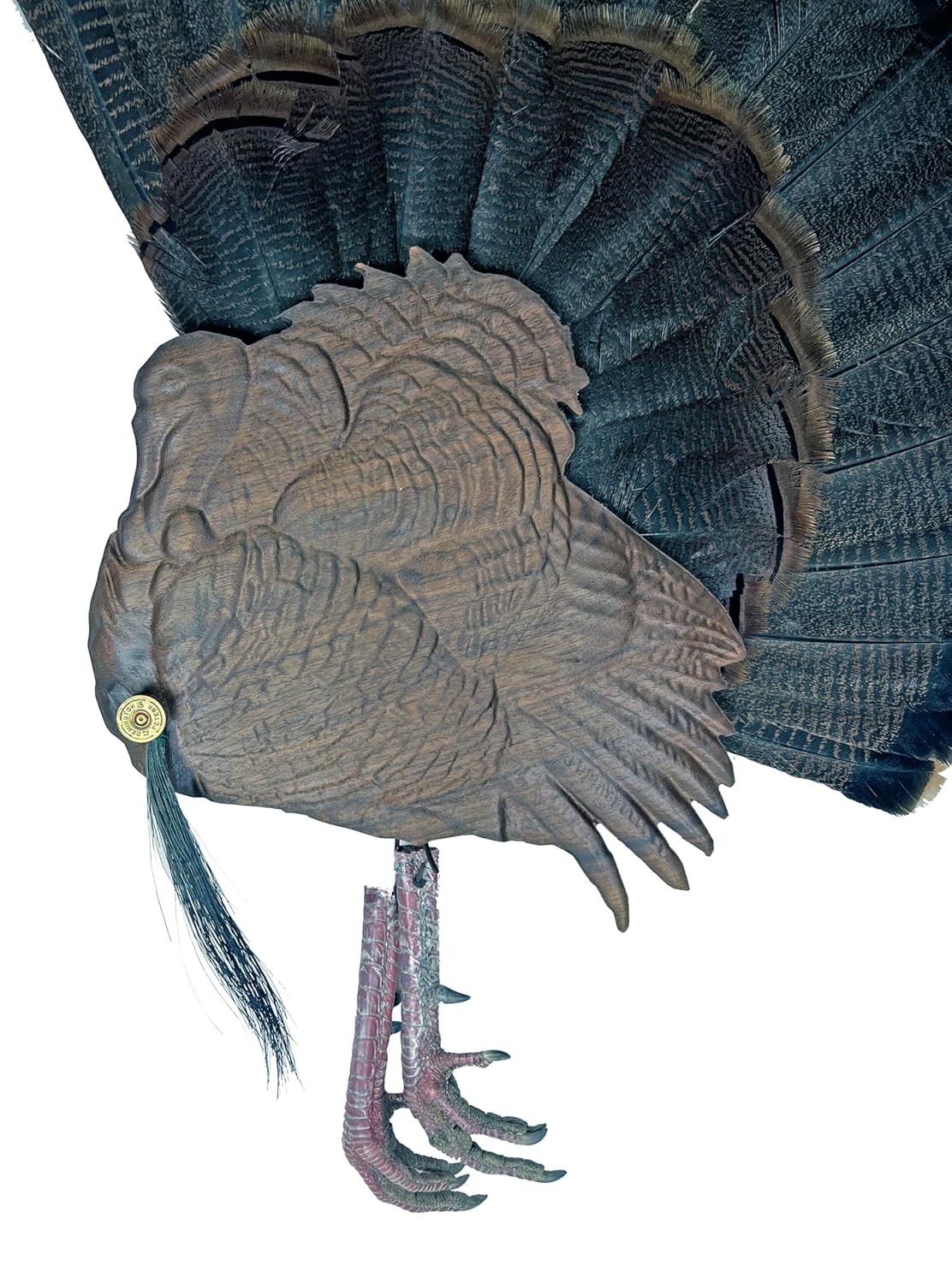 Walnut Turkey Bust Display for Tail, Beard, Spurs, Shotgun