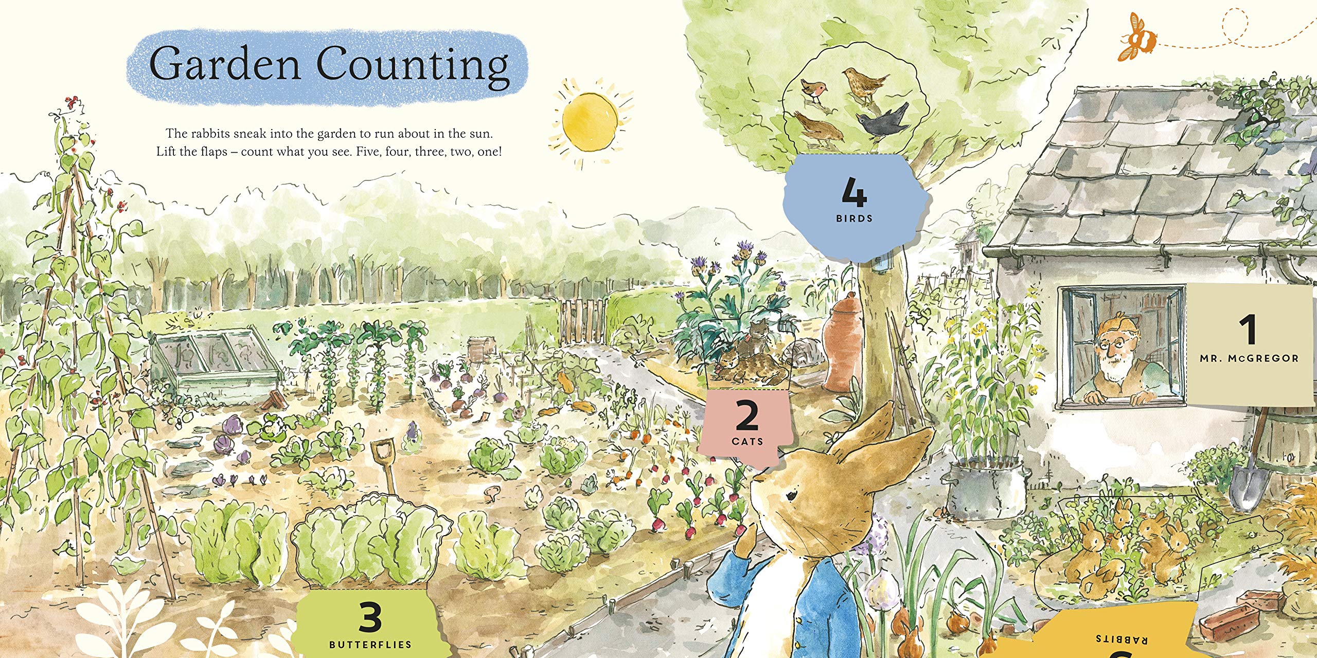 What Can You See Peter?: Very Big Lift the Flap Book