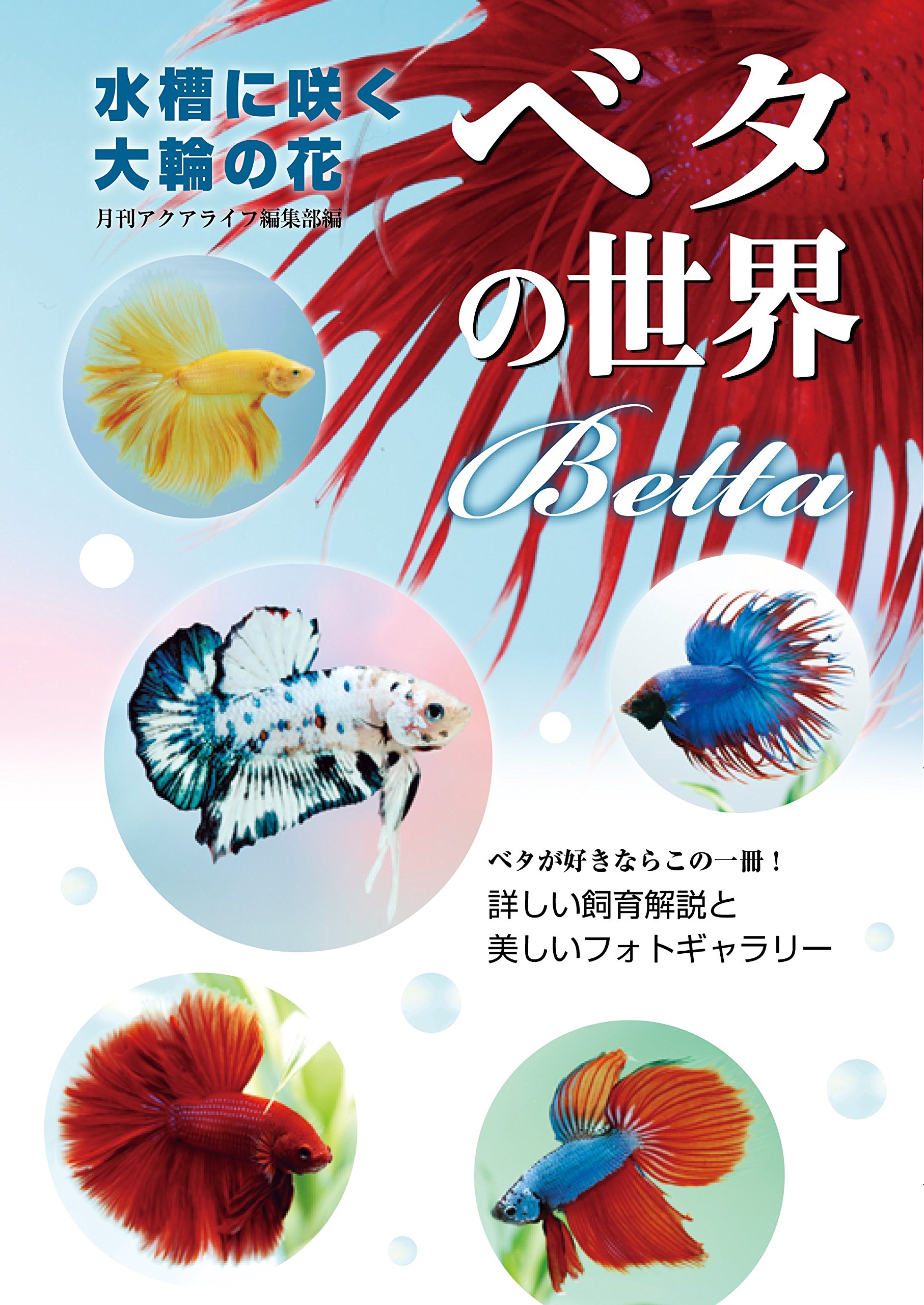 ベタ　　　4冊セット 飼育本など 　熱帯魚 本】ベタ初心者の私が読んで感じた事を解説します。電波社 ベタの飼い