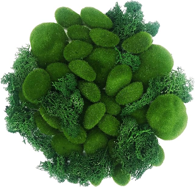 Woohome Artificial Moss Fake Moss Decorative, 30 PCS Green Moss Balls and 30 Gram Preserved Green Moss for Floral Arrangements, Fairy Gardens, Crafting