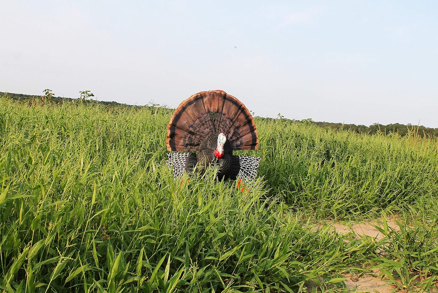 MOJO Outdoors Turkey Hunting Decoys and Accessories
