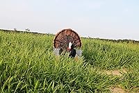 Vista 5 de MOJO Outdoors Turkey Hunting Decoys and Accessories