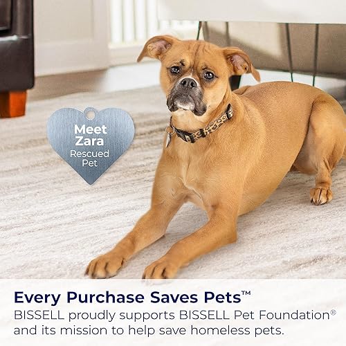 Miniatura 8 de Bissell CleanView Aspiradora giratoria con rodillo de cepillo de triple acción, dirección giratoria, varita de extensión, tanque de suciedad fácil