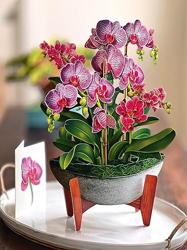 Miniatura 3 de Freshcut Paper Tarjetas desplegables, oasis de orquídeas, ramo de flores de tamaño real de 12 pulgadas, tarjeta de felicitación emergente 3D,