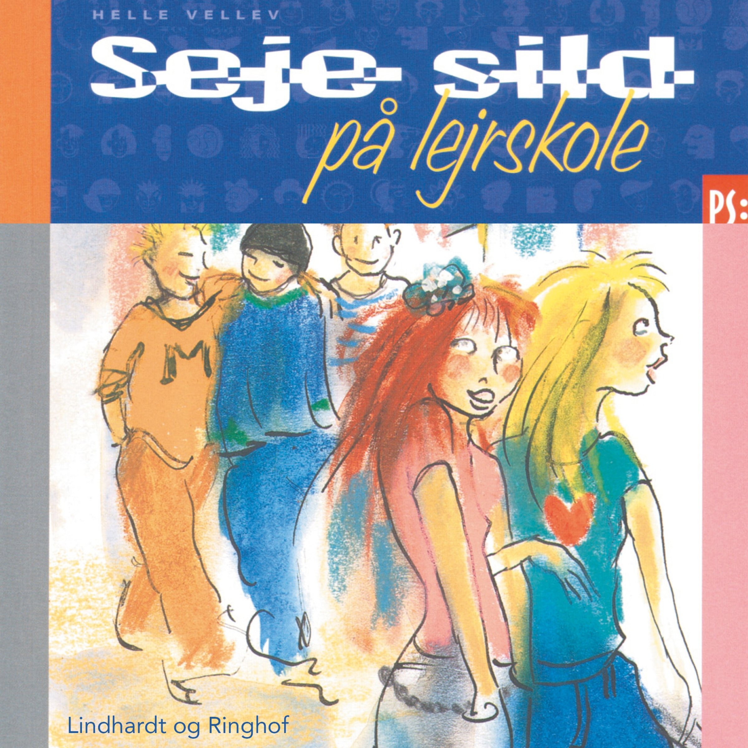 Cover art for Seje sild på lejrskole