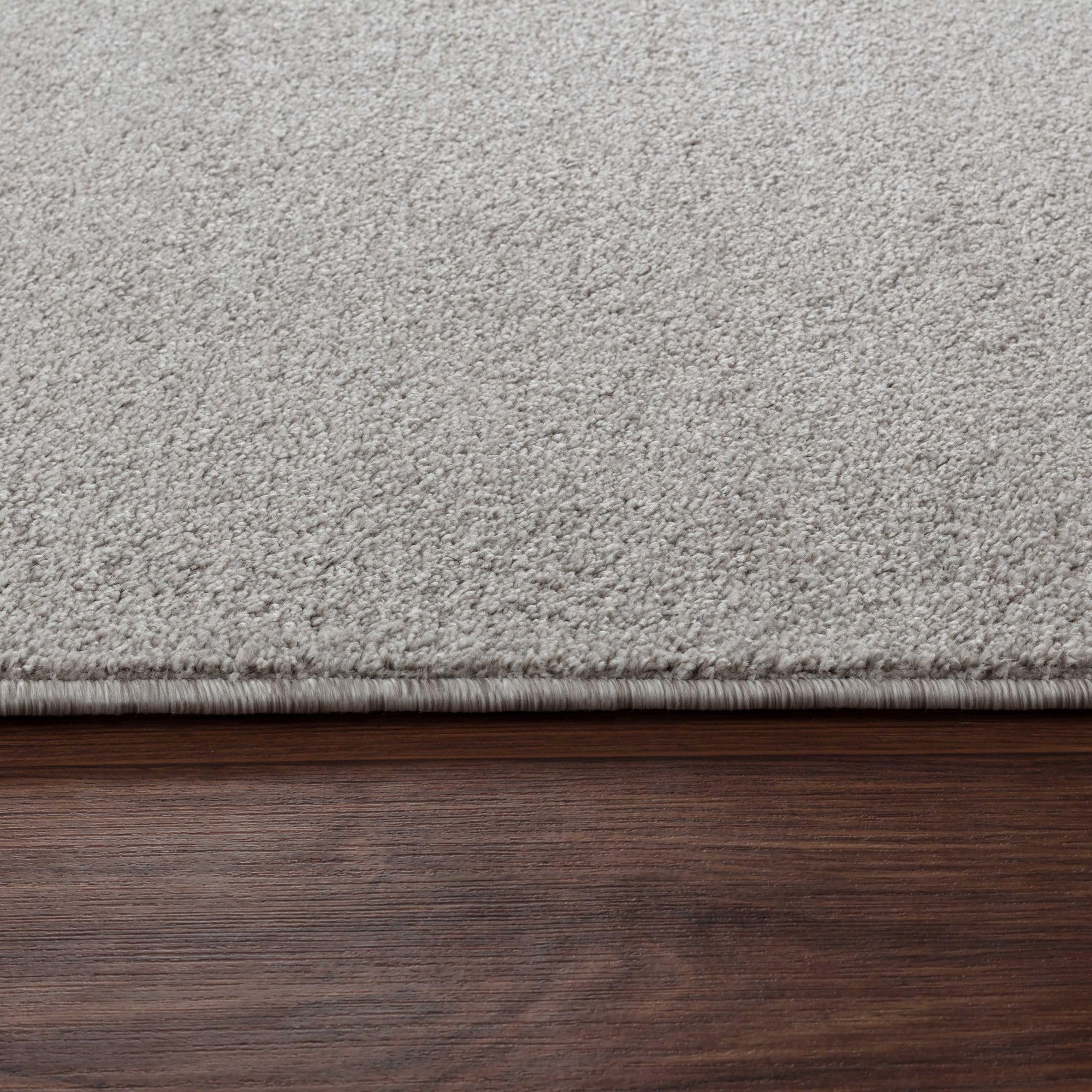Carpetsale24 Teppich 240x340 cm Creme, Kurzflor, Einfarbig, Modern, Rechteckig, rutschfest, Pflegeleicht, XXL Bodenteppich für Wohnzimmer, Schlafzimmer, Esszimmer