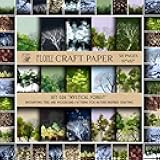 Scrapbook Paper (30 pages 12