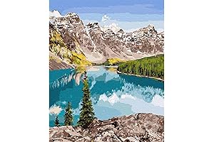 Artunion Paint by Numbers for Adults Beginner, 16x20 inch Snow Mountain Lake...