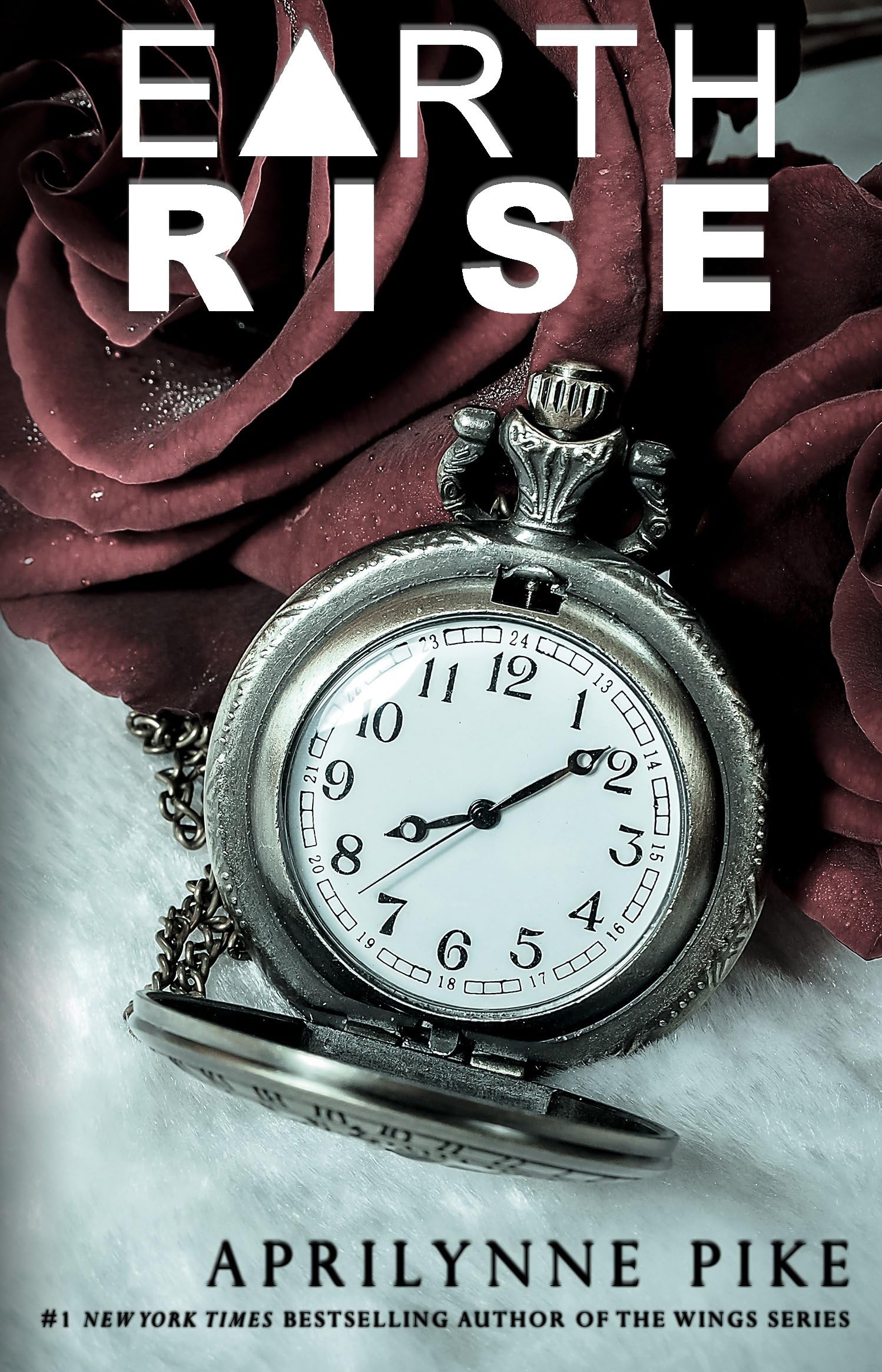 Earthrise (Earthbound Book 3)
