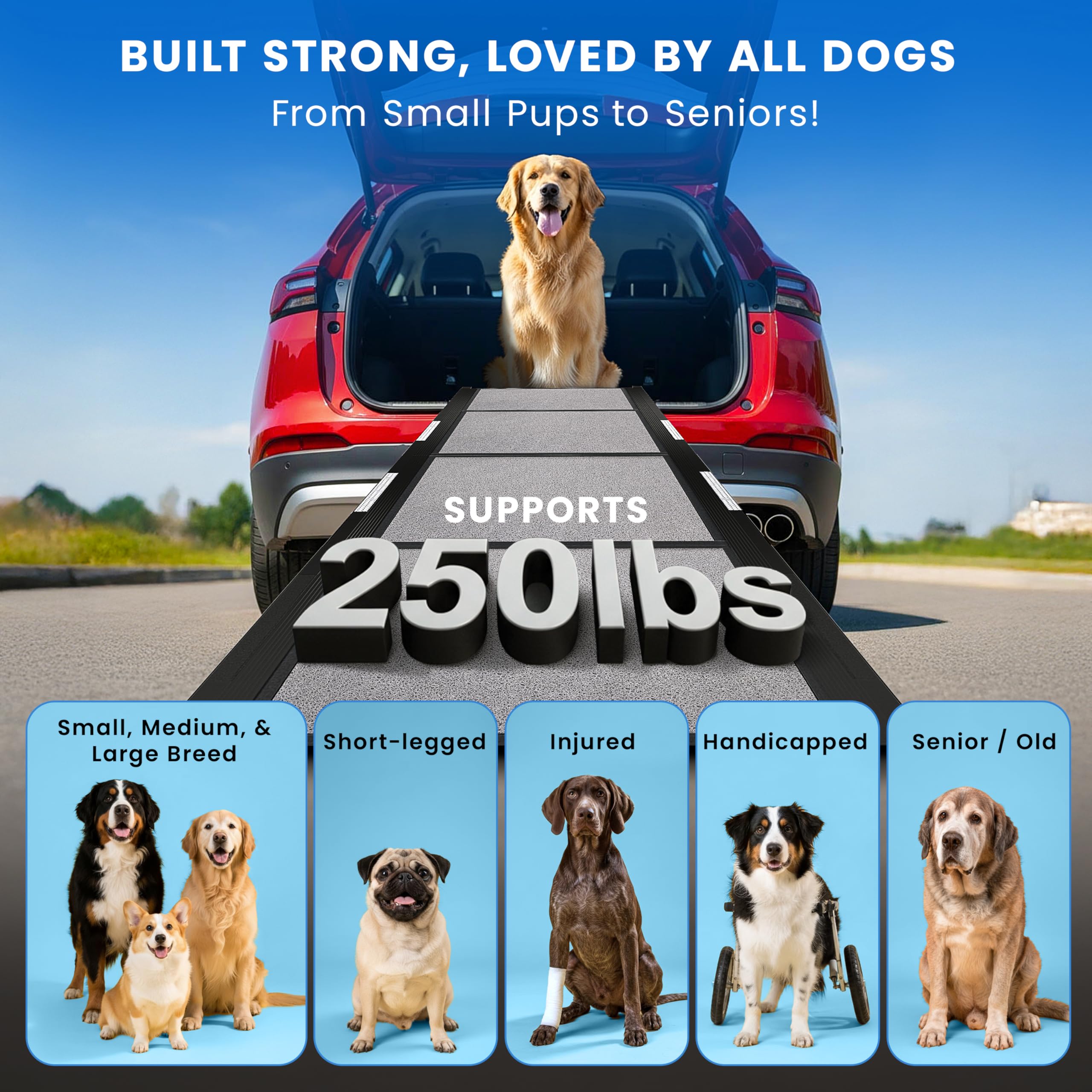 View 4