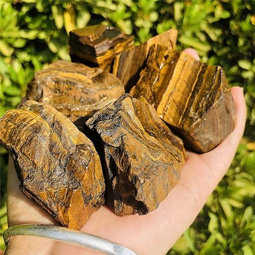 Zenkeeper Piedra de cristal natural de ojo de tigre crudo de 1 libra, piedra preciosa de ojo de tigre áspero, rocas de ojos de tigre dorado para