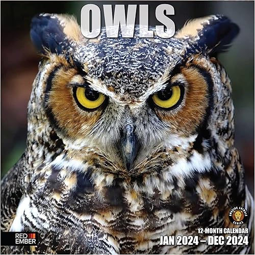 RED EMBER Owls - Calendario mensual de escritorio 2024, abierto de 12 x 24 pulgadas, papel grueso y resistente, para regalo, animales pájaros, una