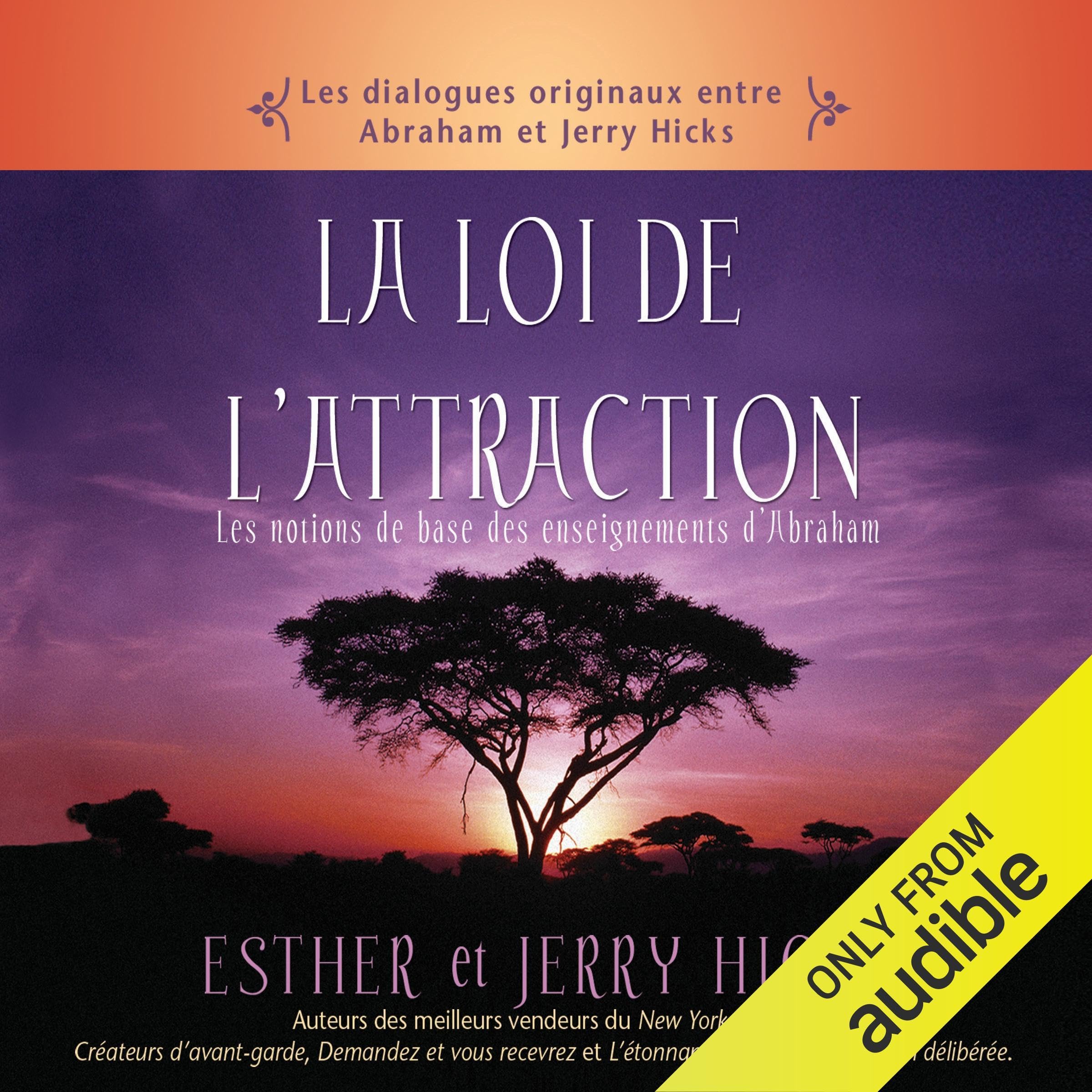 Cover art for La loi de l'attraction