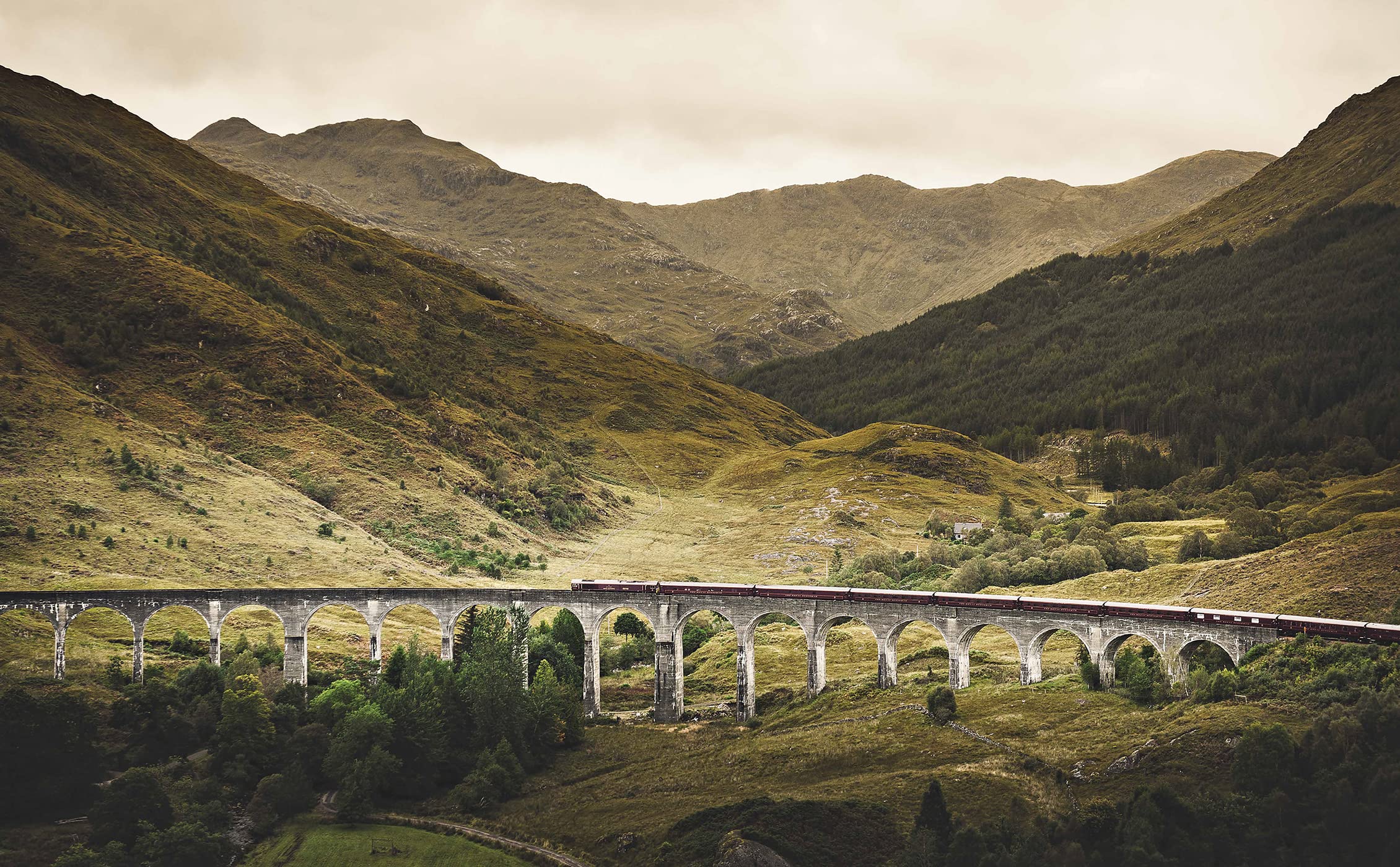 La folie des Trains de luxe