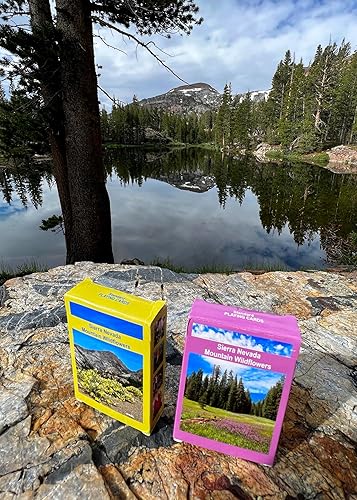 Miniatura 2 de Sierra Nevada Mountain Wildflowers Juego de cartas (juego de dos barajas)