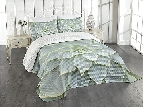 Ambesonne Colcha de cactus, planta de cactus, flor de cerca, vista de foto, desierto, mexicano, plantas naturales, arte natural, decorativo,