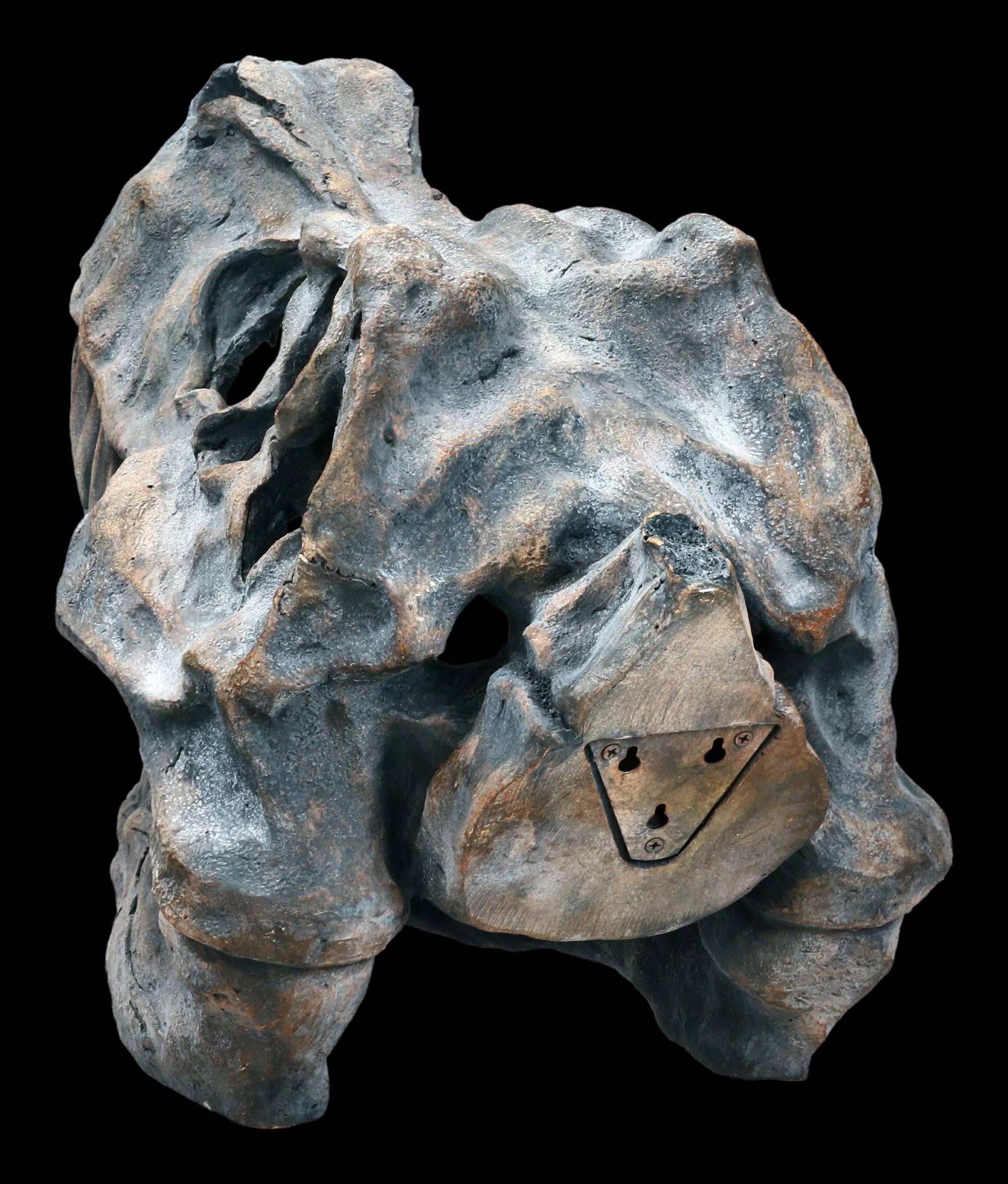 Tyrannosaurus Rex Teschio - Grande - Statua Decorativa Rilievo Parete