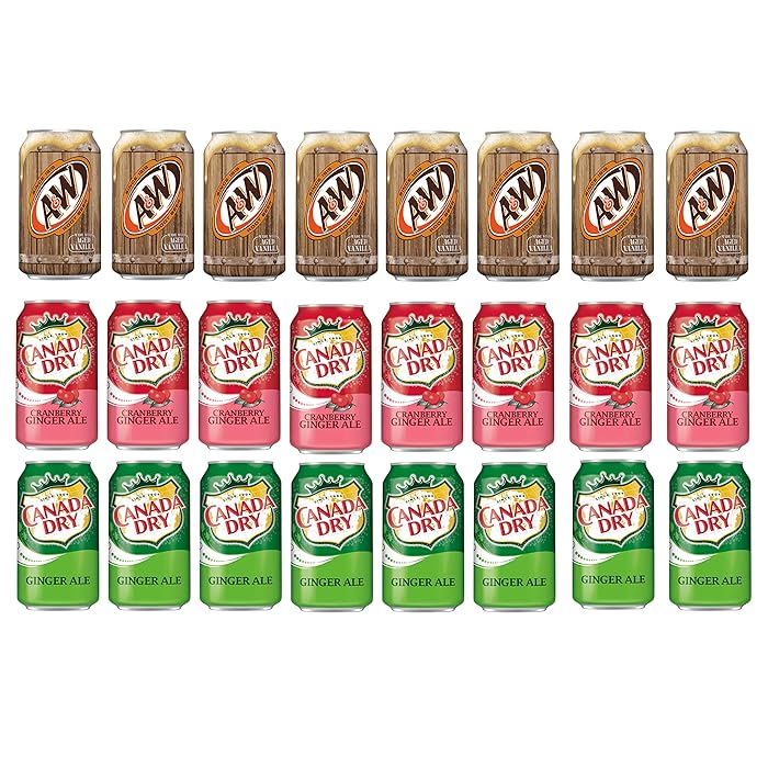 Buy LUVBOX Variety Soda pack , pack of 24 , 12 fl oz , A&W ROOT BEER