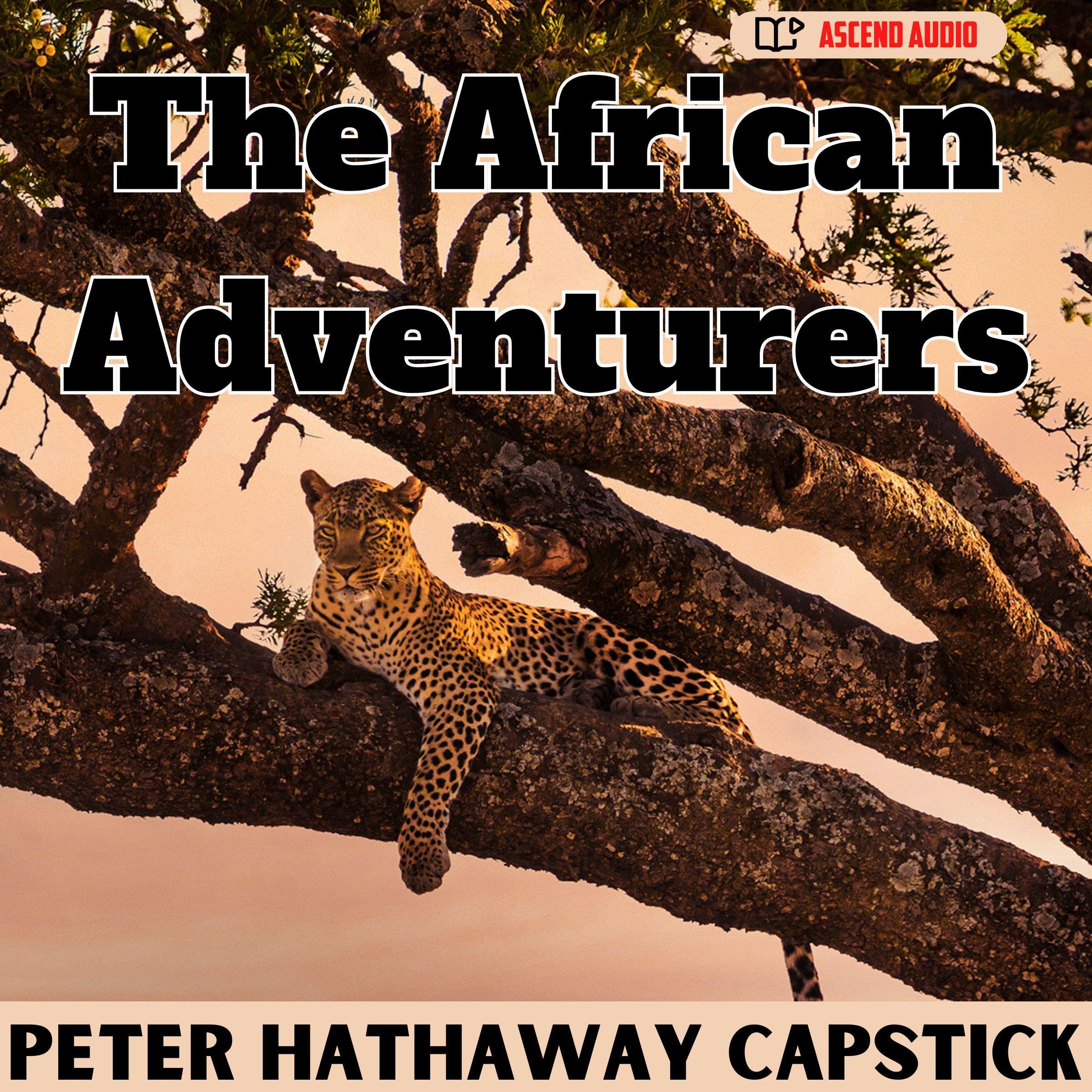 Cover art for The African Adventurers