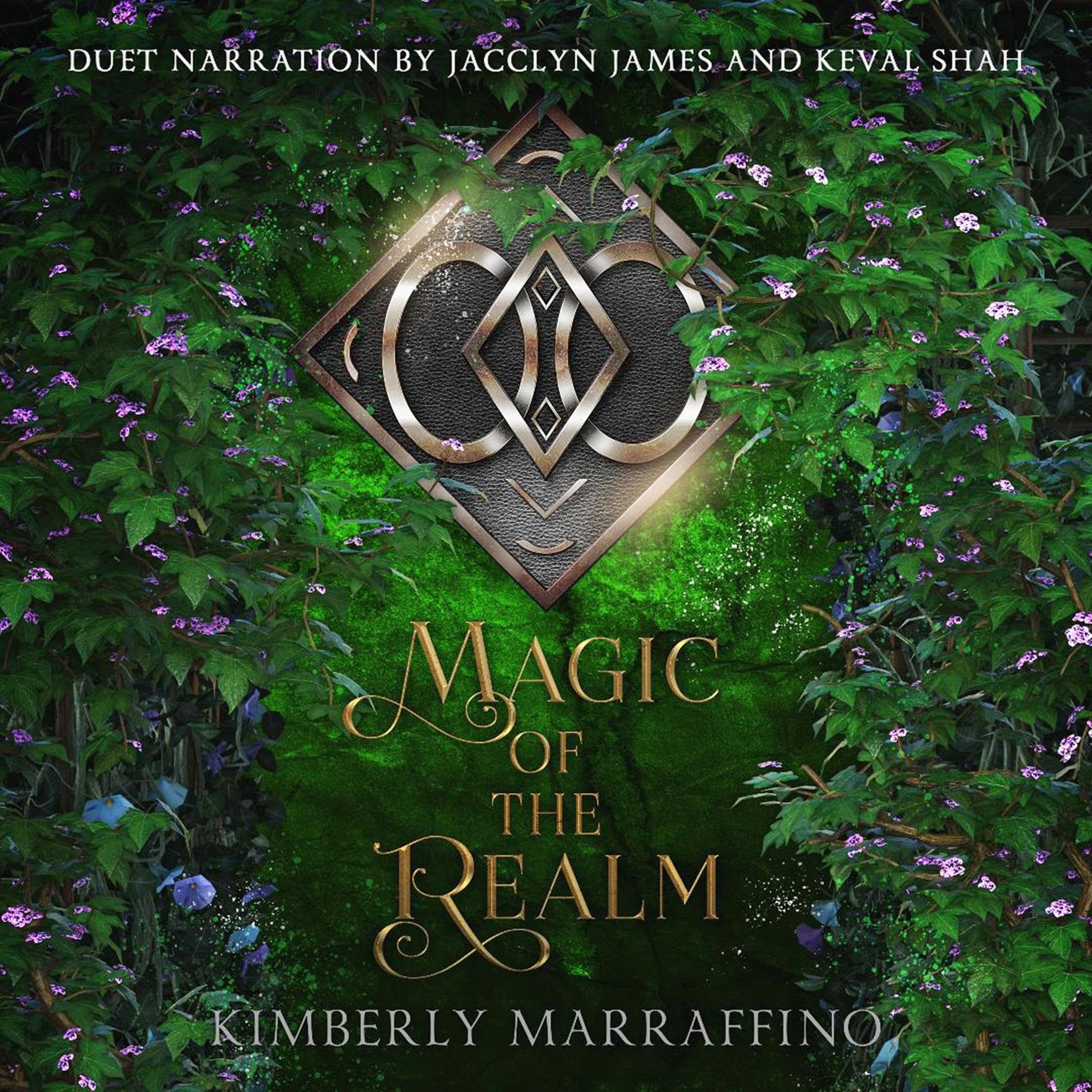 Cover art for Magic of the Realm