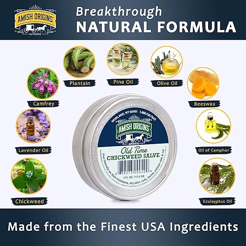 Vista 2 de Amish Origins Old Time Chickweed Salve 2 oz - El mejor bloqueador de hiedra venenosa/roble venenoso, bálsamo curativo para trastornos de la piel