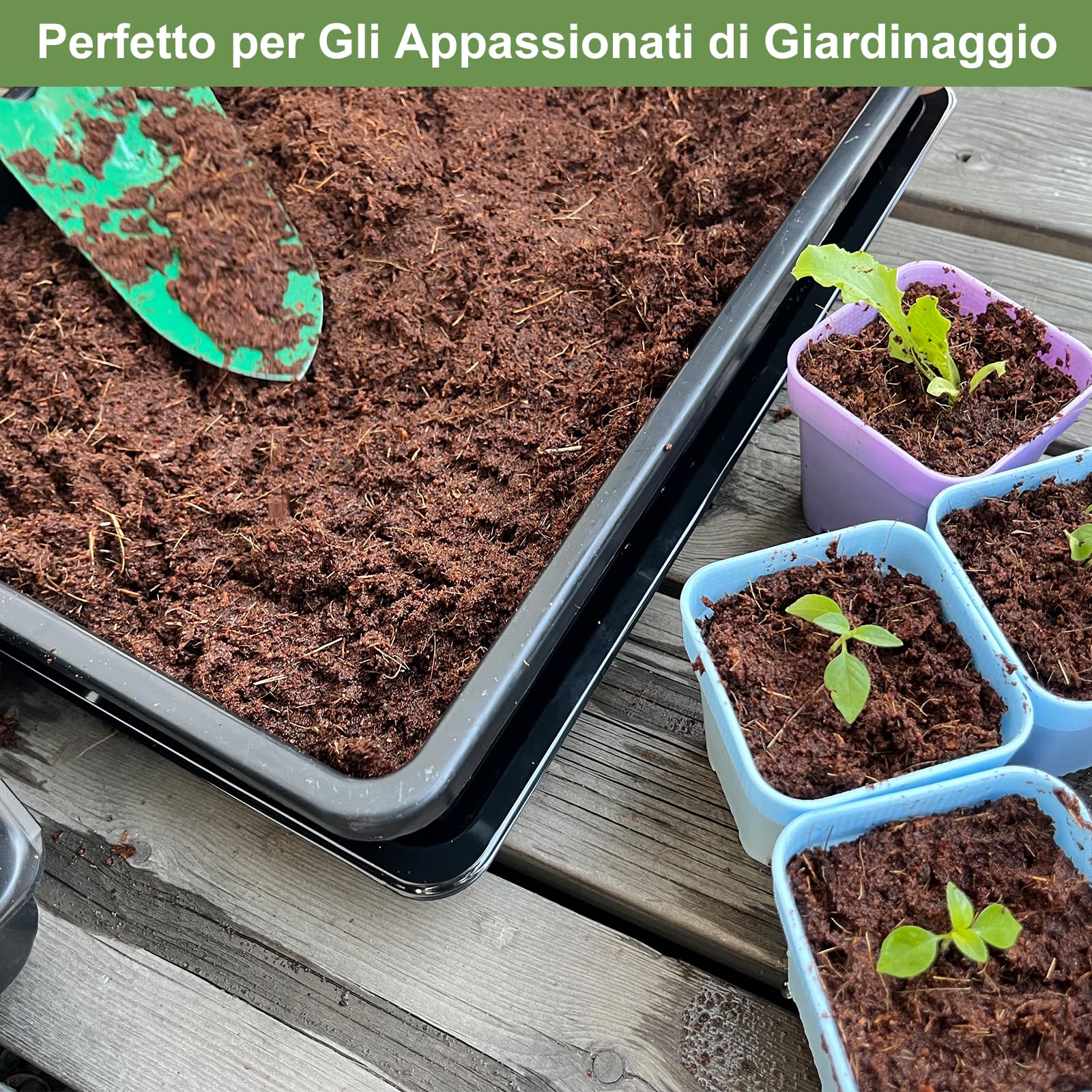 BeGrit 5 Pezzi Vassoi Semina Plastica 44 x 30 x 4,5 cm Germinazione Semina Vaschette Grande Semenzaio vassoio per microgreens rettangolari semi in plastica per Serra Idroponica Giardino Verdura Frutta