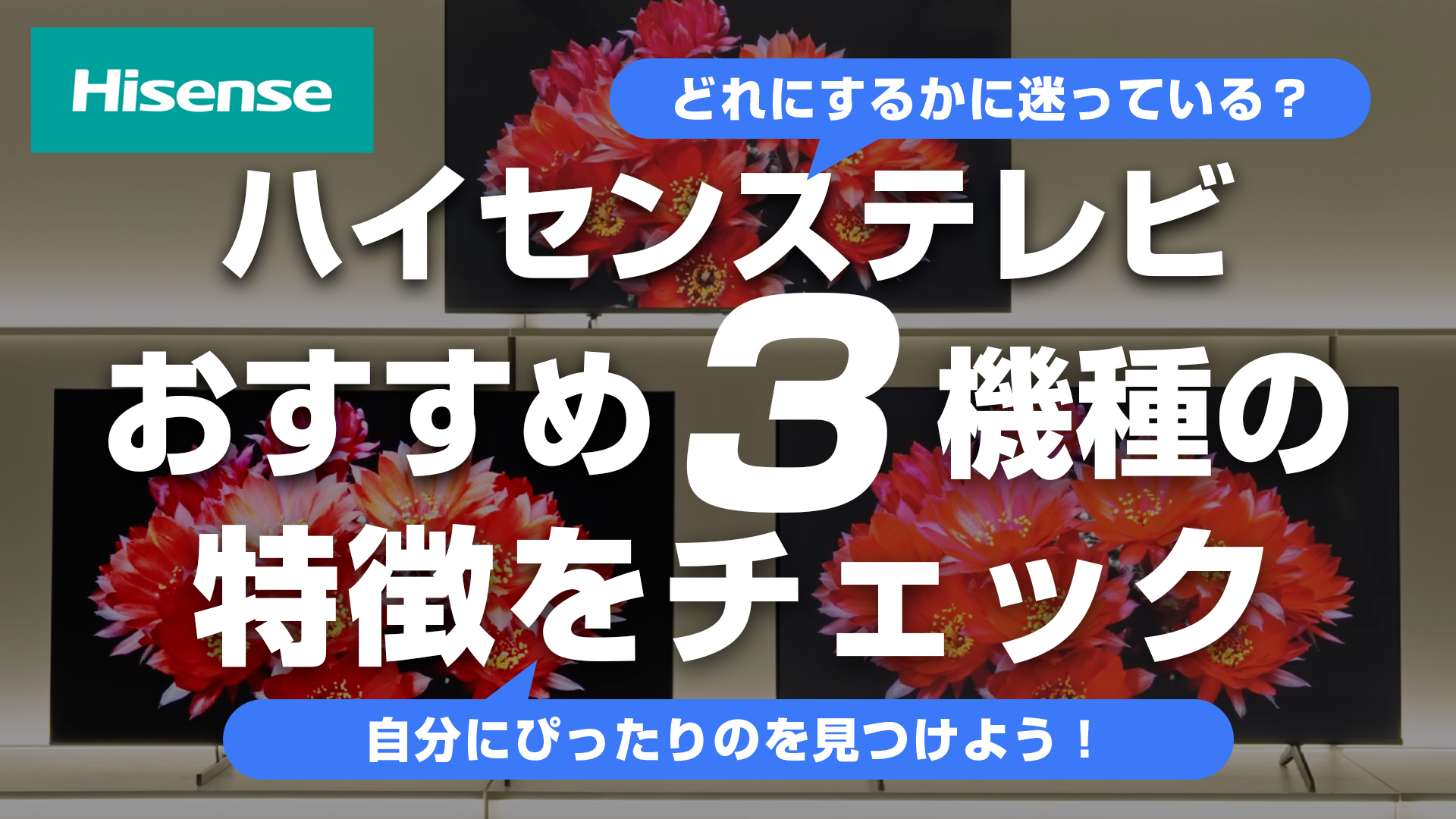 Amazon | 【Amazon.co.jp限定】ハイセンス【3年保証】50V型 50E7N 4K