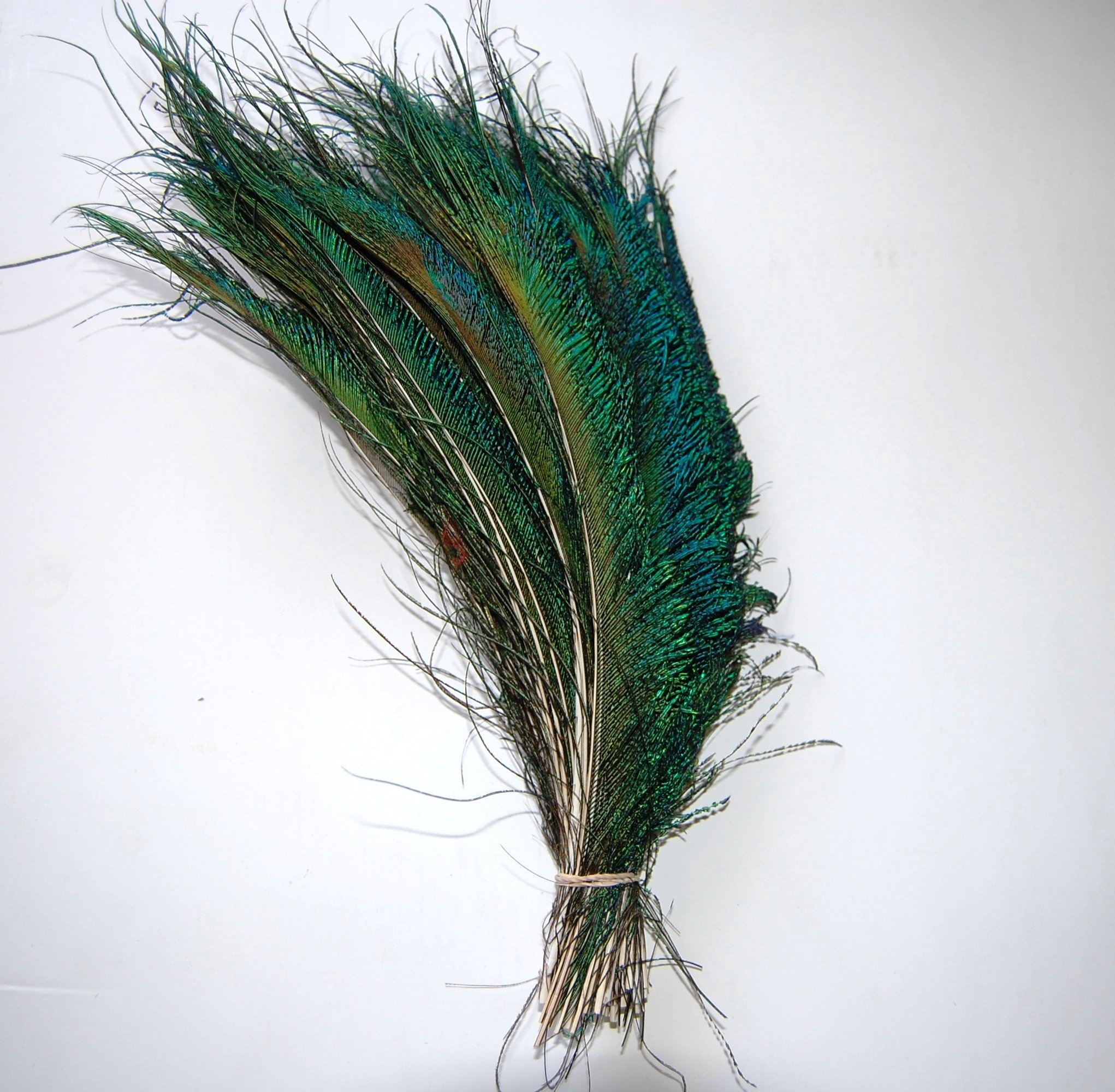 Peacock Swords Natural Feathers 15