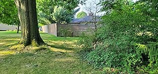 Review Image by Mark Mills Mark Mills