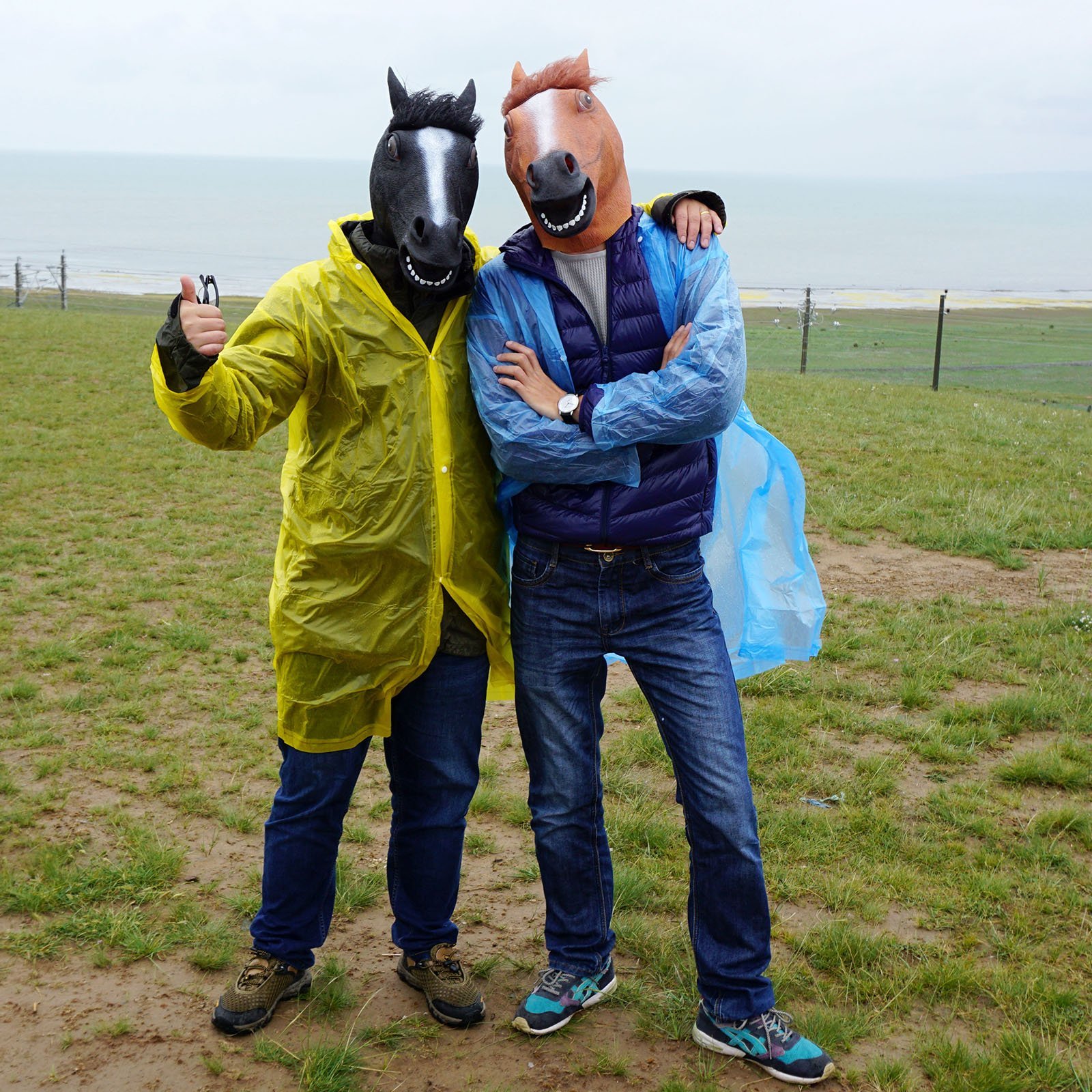 Masque de cheval en latex pour adultes et hommes