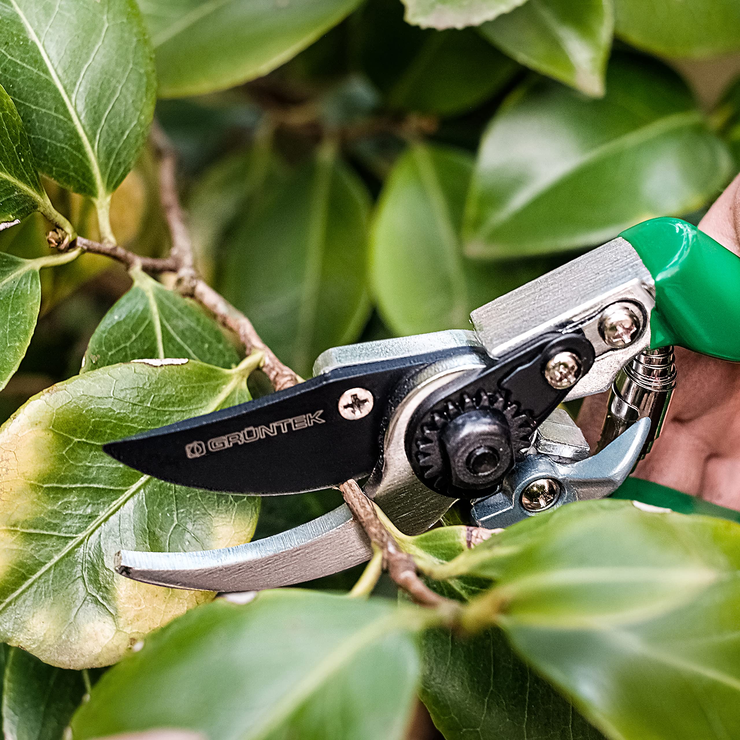 GRÜNTEK Bypass Garden Pruning Shears Falcon Blade 48 mm / 1.9