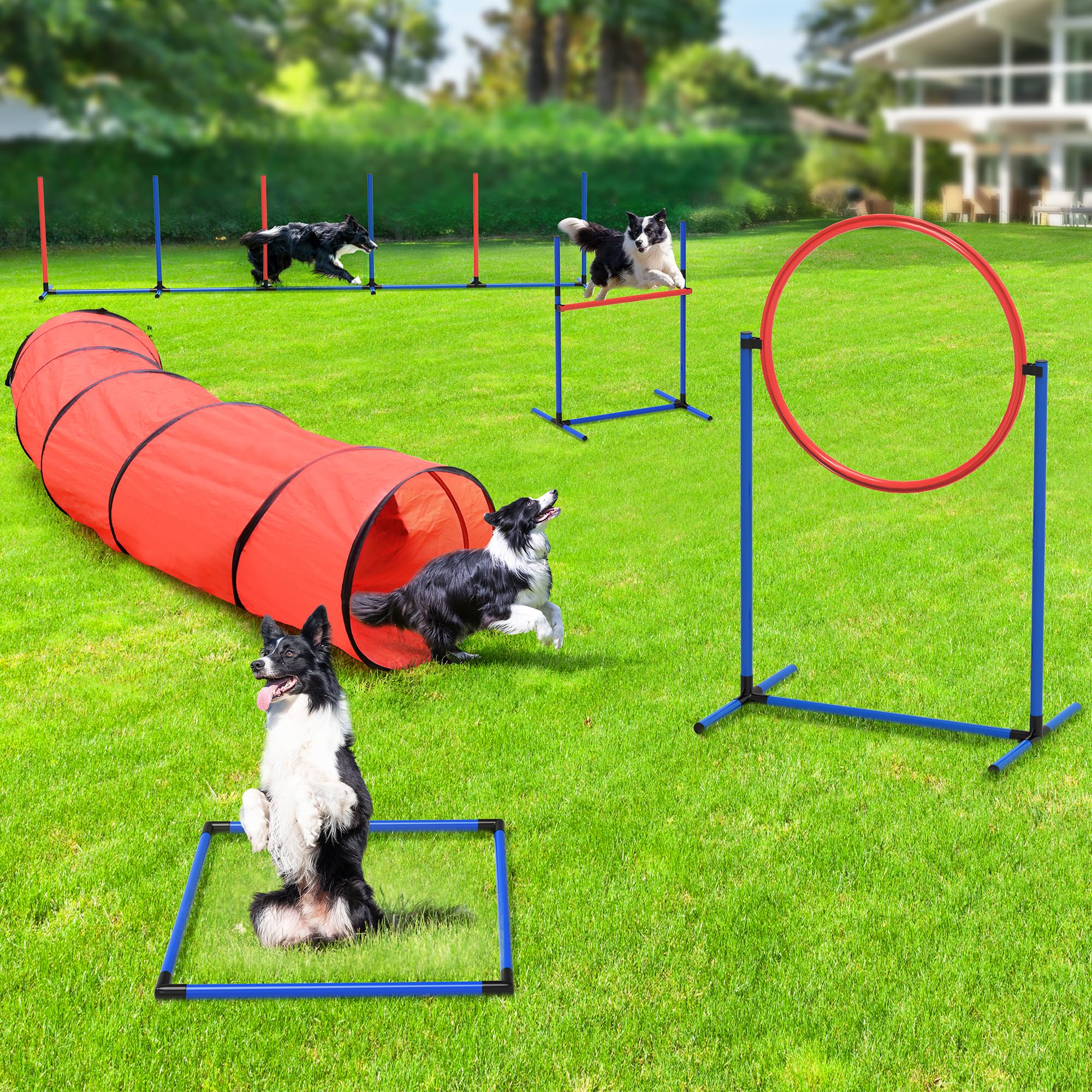 YITAHOME Dog Agility Equipments: Includes Flirt Pole, 3 Flying Discs, Agility Tunnel, 3 Jumps, 6 Weave Poles, Pause Box, Agility Course Set for Backyard, Indoor, Outdoor