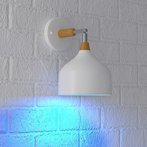 Miniatura 3 de Tienda Basics Bombilla LED A19 color azul fiesta, equivalente a 60 vatios, eficiencia energética, base estándar E26, no regulable, vida útil de
