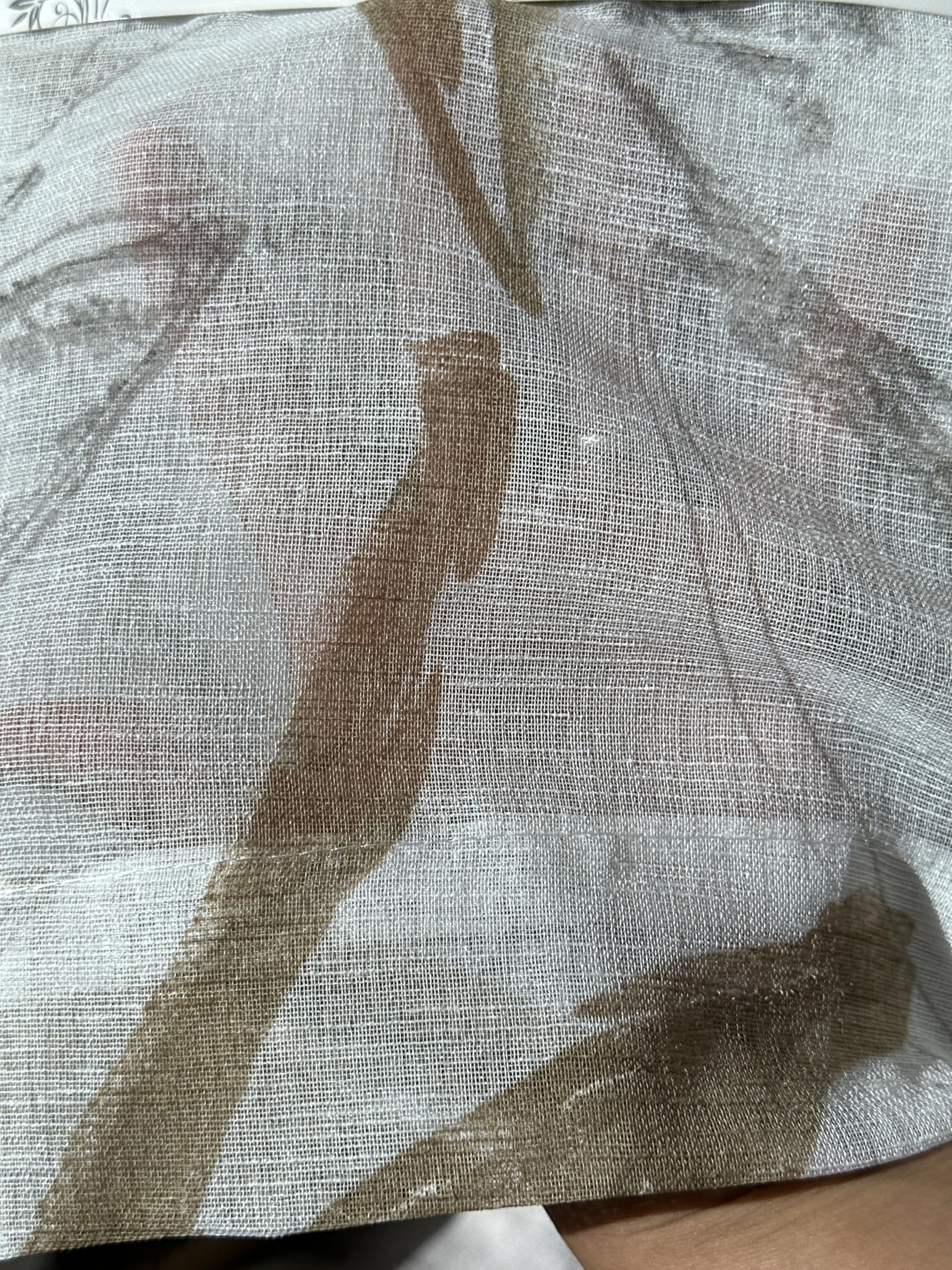HOME ZEN Coppia Tende Trasparenti Floreali, Set 2 Pezzi, 60x150 cm e 60x240 cm, con Passanti, tendine a pacchetto art.ERA (Beige, 60x240 cm)