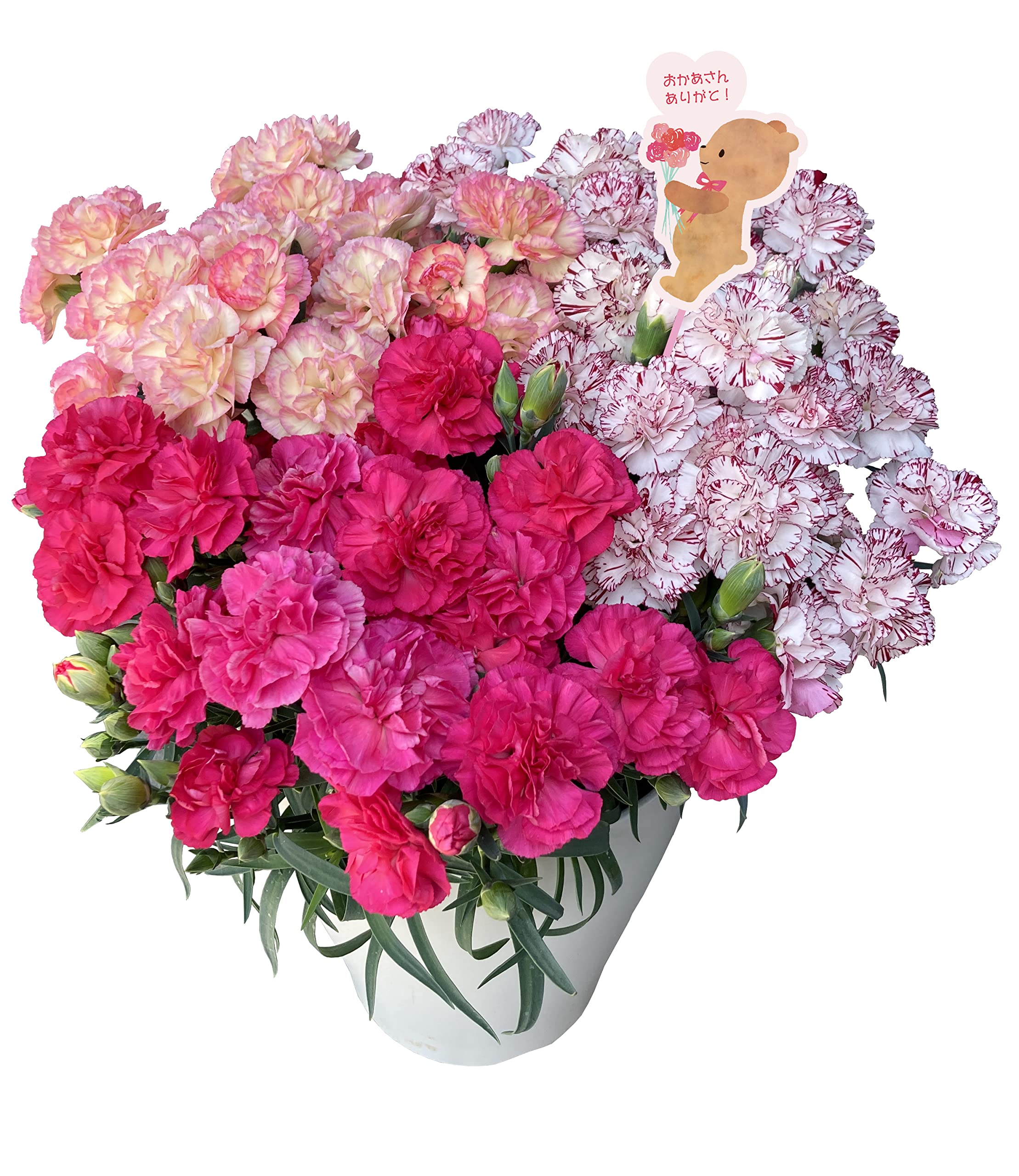 母の日ギフト プレゼント特集 21 Amazon