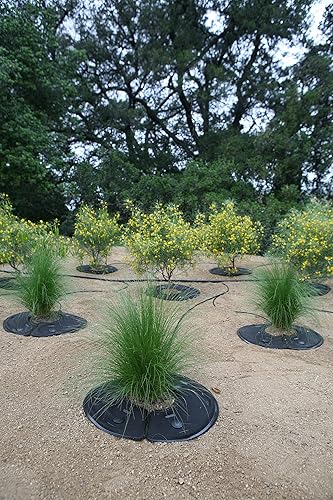 Miniatura 2 de Raindrip RW16RE RootWise - Almohadilla de riego de precisión de 360° para riego de plantas y árboles, tapete de riego de 16 pulgadas con tubo de