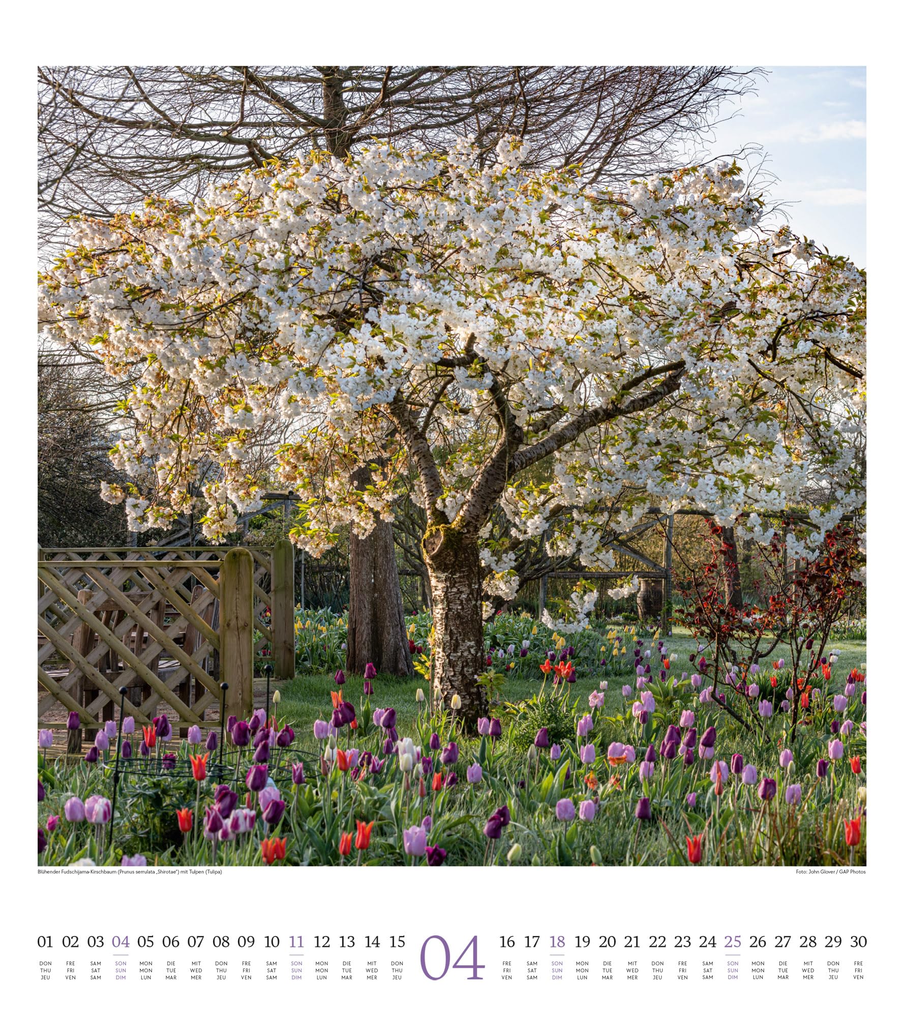 Paradiesische Gärten Kalender 2027 48x54 cm Hochformat Garten-Kalender