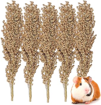 Sukh Natural Hamster Spray - 5 Pcs Natural Sun Dried Red Solgum Granules, Flowers & Herb Stems Cage Habitat Bedding Decor D cor Dwarf Hamster, Snammebil, Mouse, Cockatiel