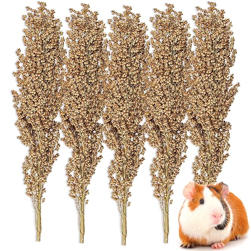 Sukh 5 Pcs Hamster Sprays Natural - Sun Dried Red