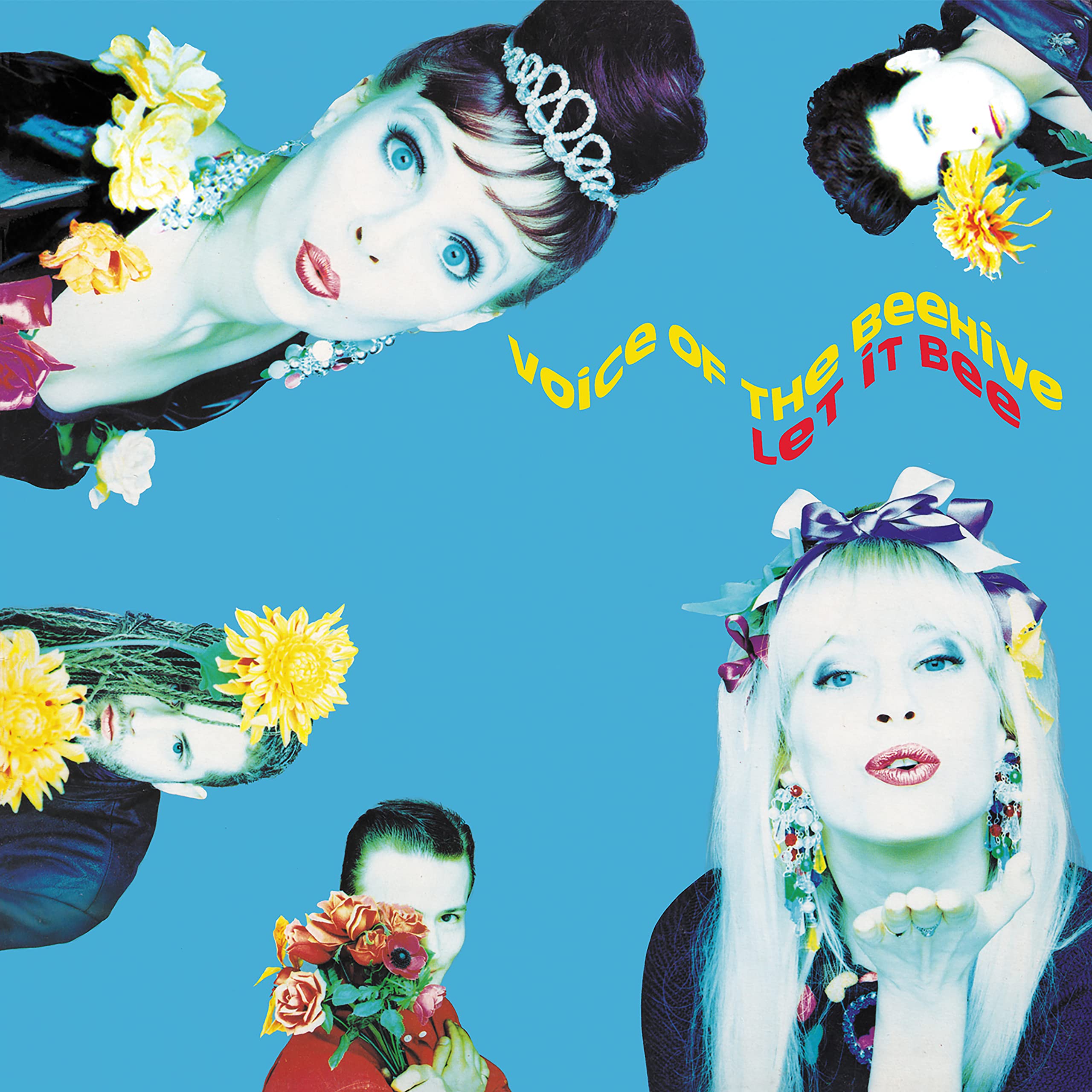 Voice of the Beehive