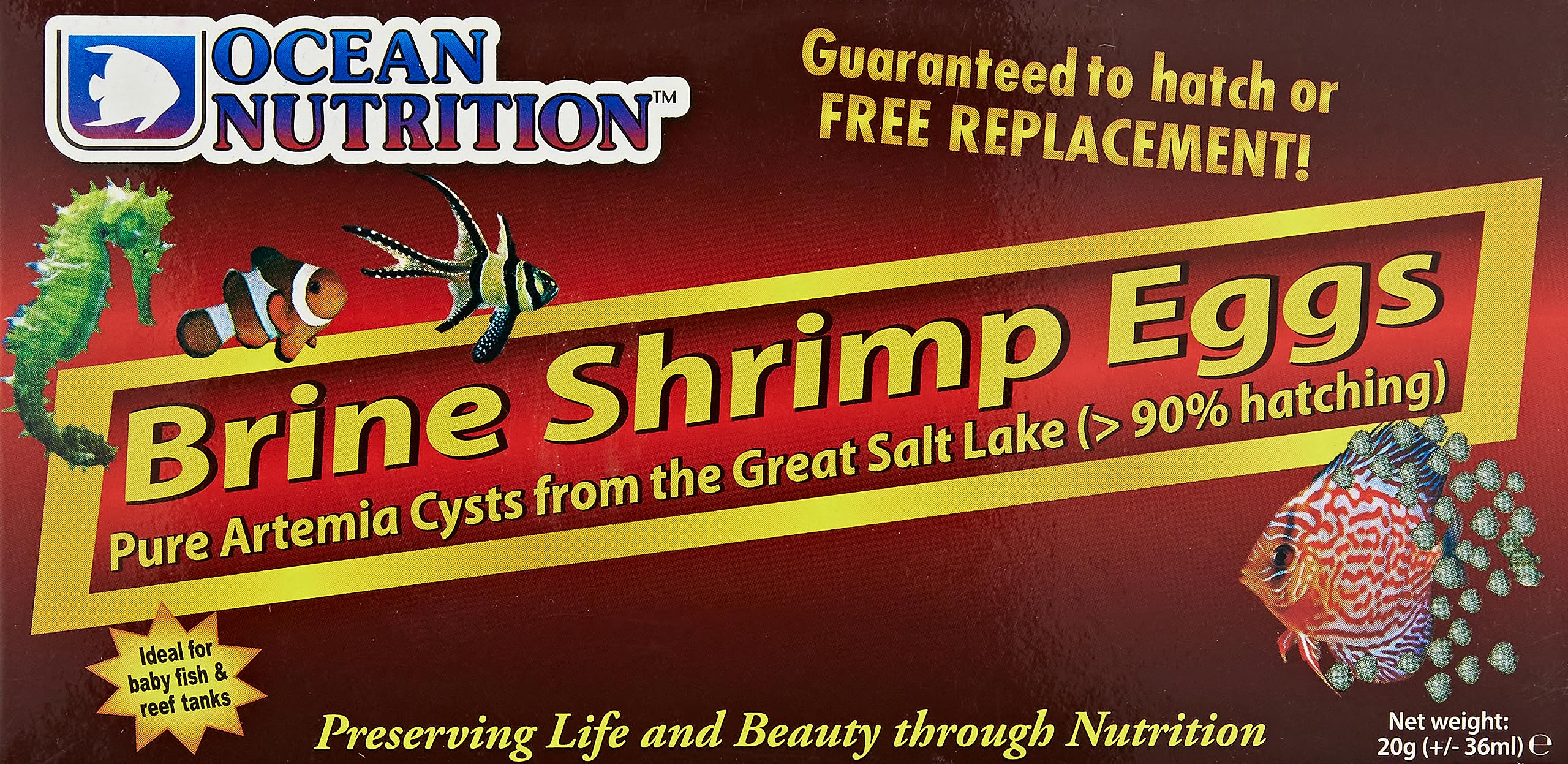Brine Shrimp Eggs 20g