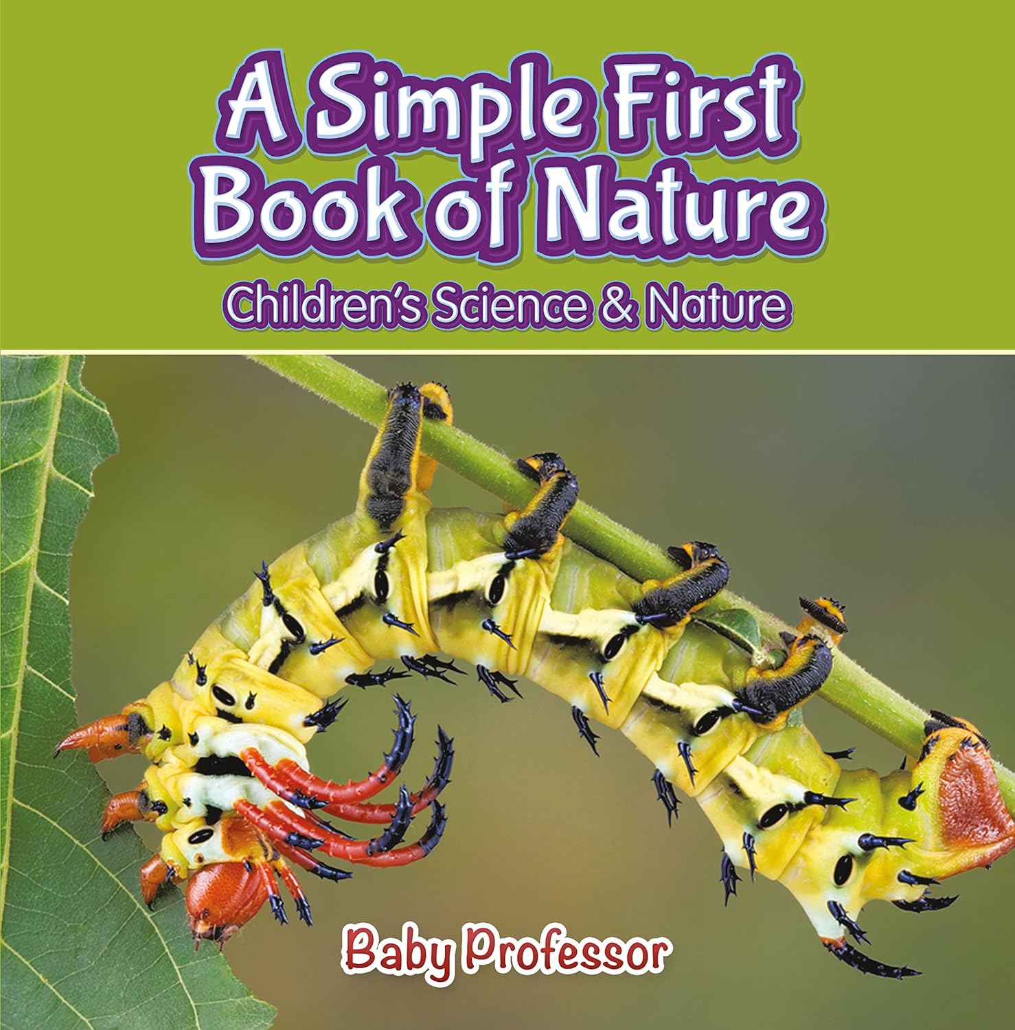 A Simple First Book of Nature Children's Science & Nature Kindle edition by Professor, Baby