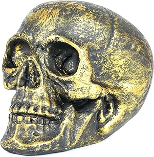 H&W Skull Money Bank for Halloween, Skeleton Coin Bank, Terrifying Piggy Bank, for Halloween Decoration Gift Party Props (Golden)
