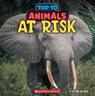 Animals at Risk (Wild World: Top 10)