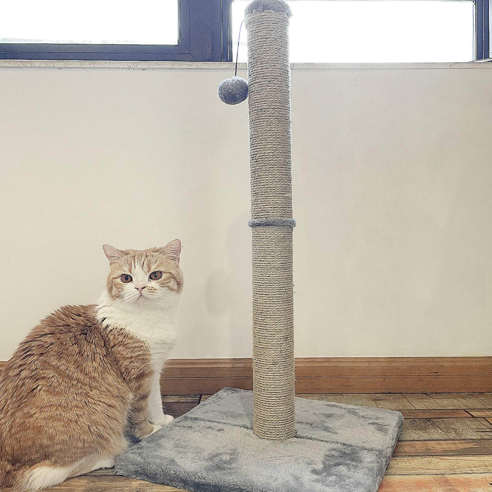 Poils bebe Rascador para gatos grandes, 74,5 cm, árboles rascadores y torres con cuerda de sisal, muebles para gatos y gatos medianos para jugar con bola colgante.