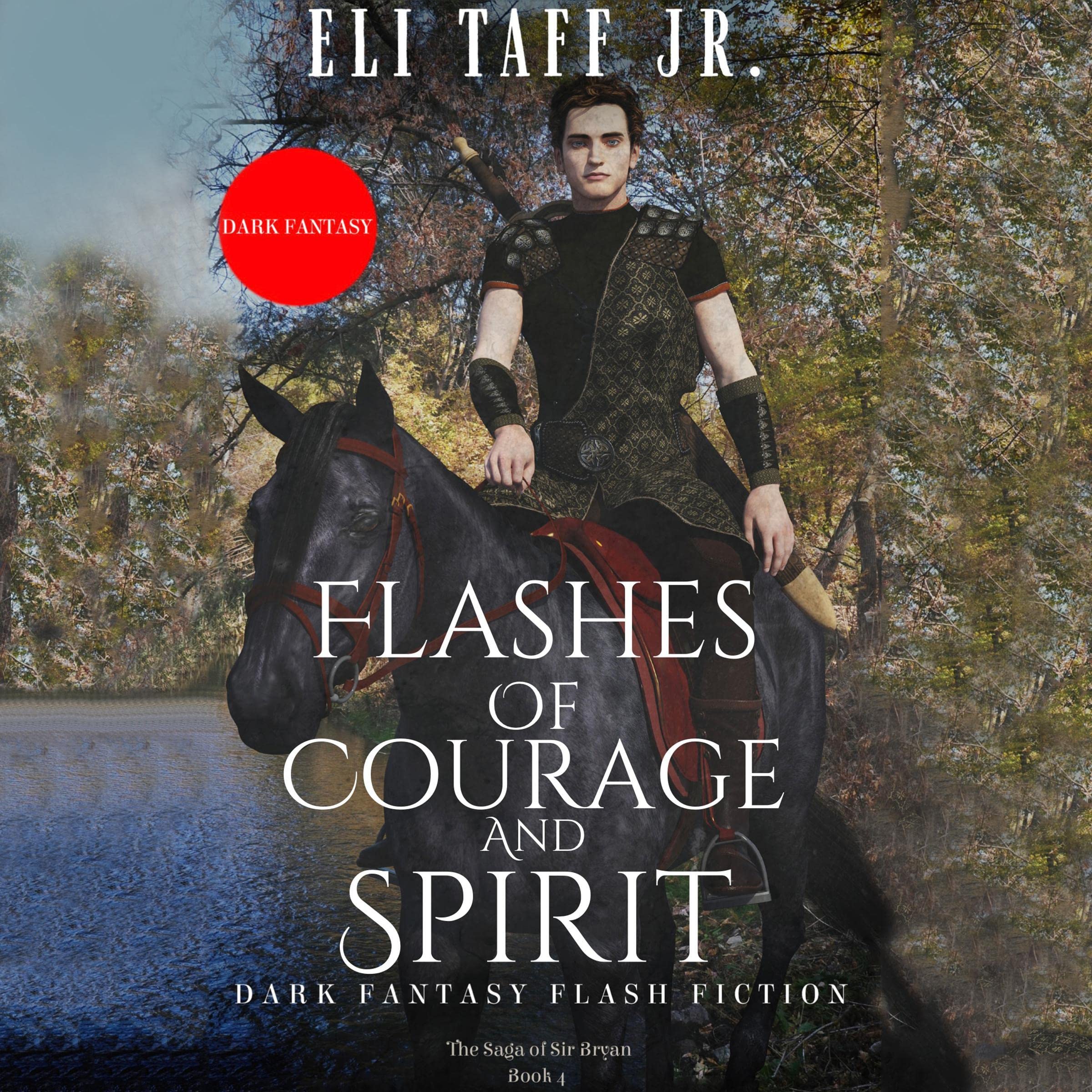 Cover art for Flashes of Courage and Spirit