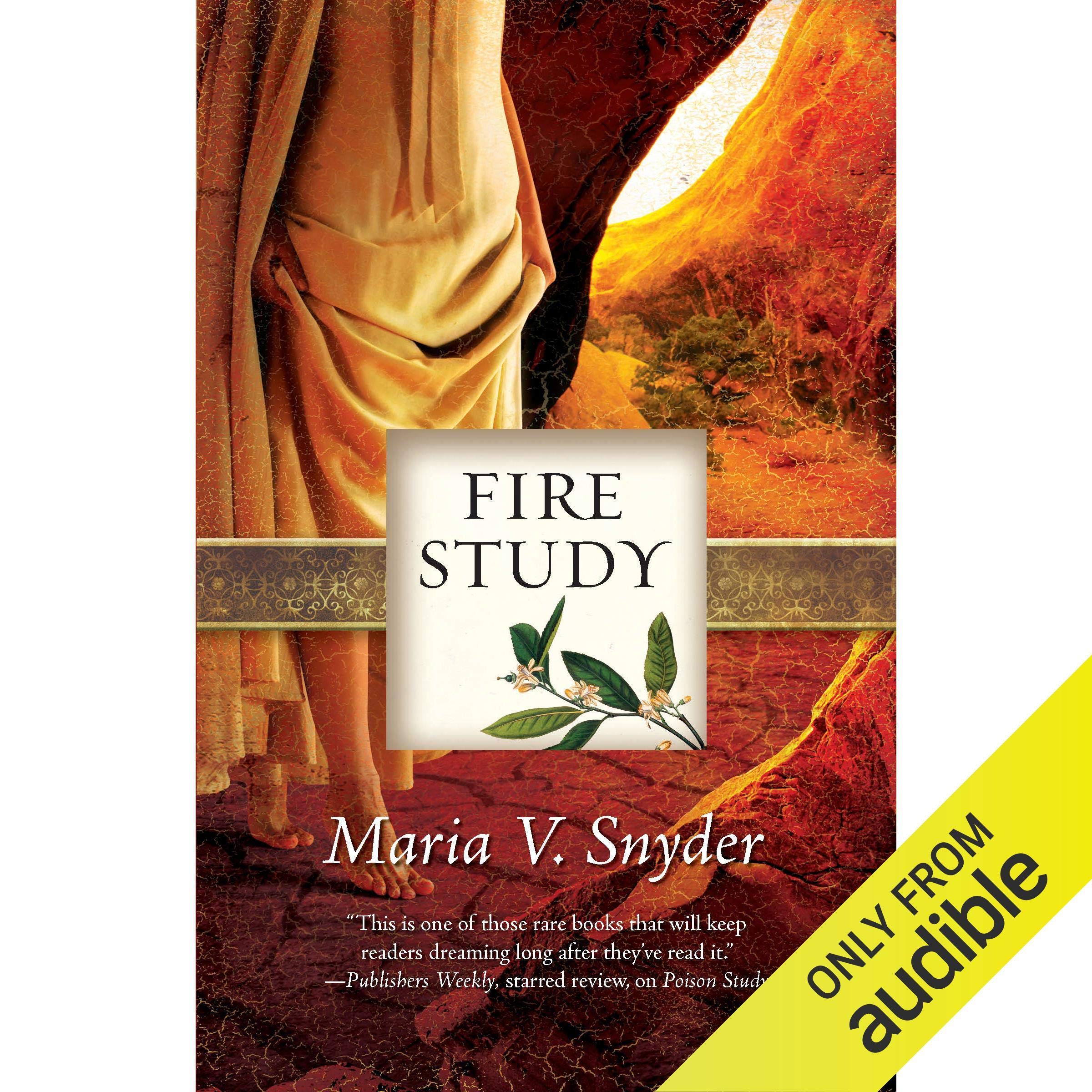 Cover art for Fire Study