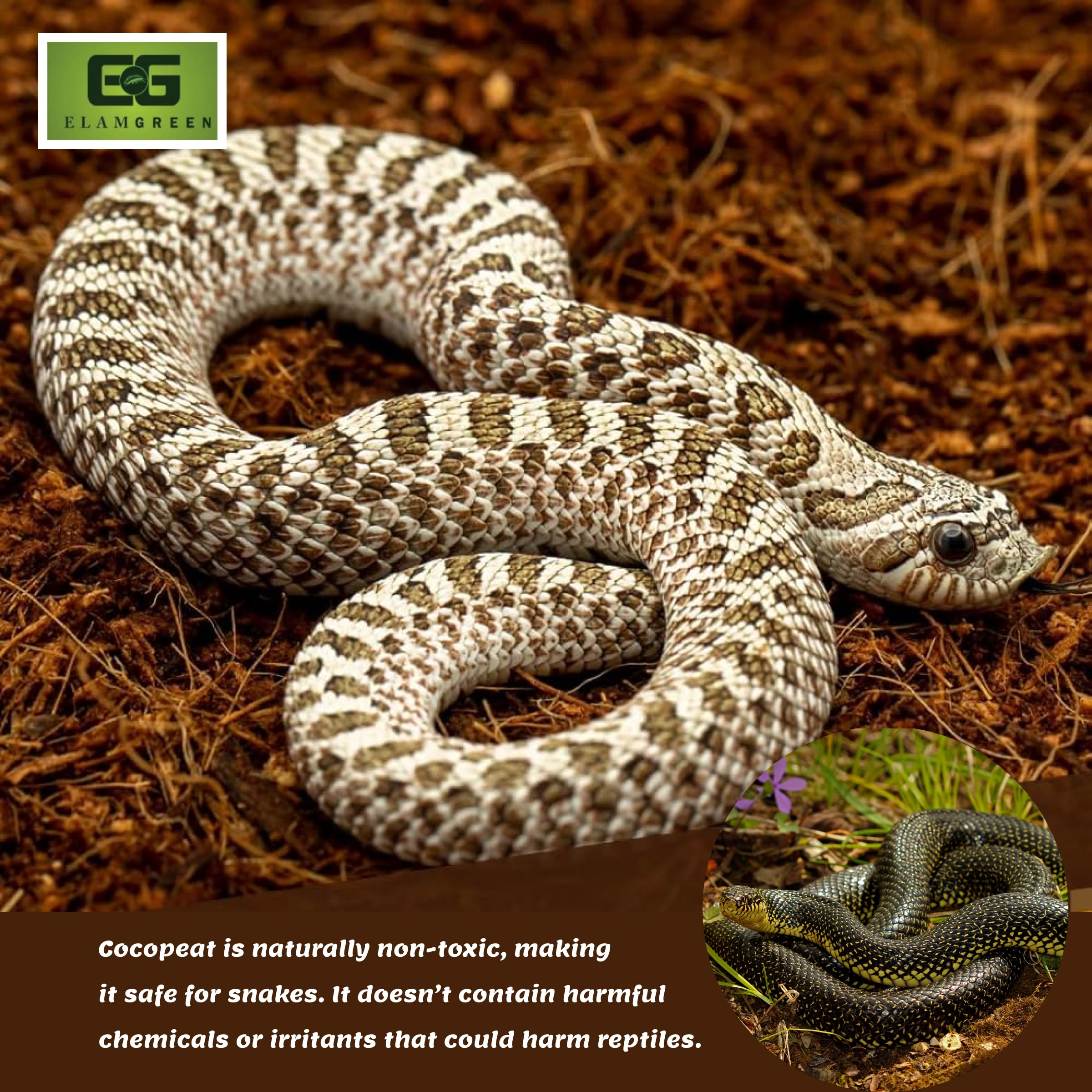 Elamgreen Coco peat Block for Animal Bedding pet Products | Dogs, Cats Reptiles Snakes Chicken Birds (650 gram) 3